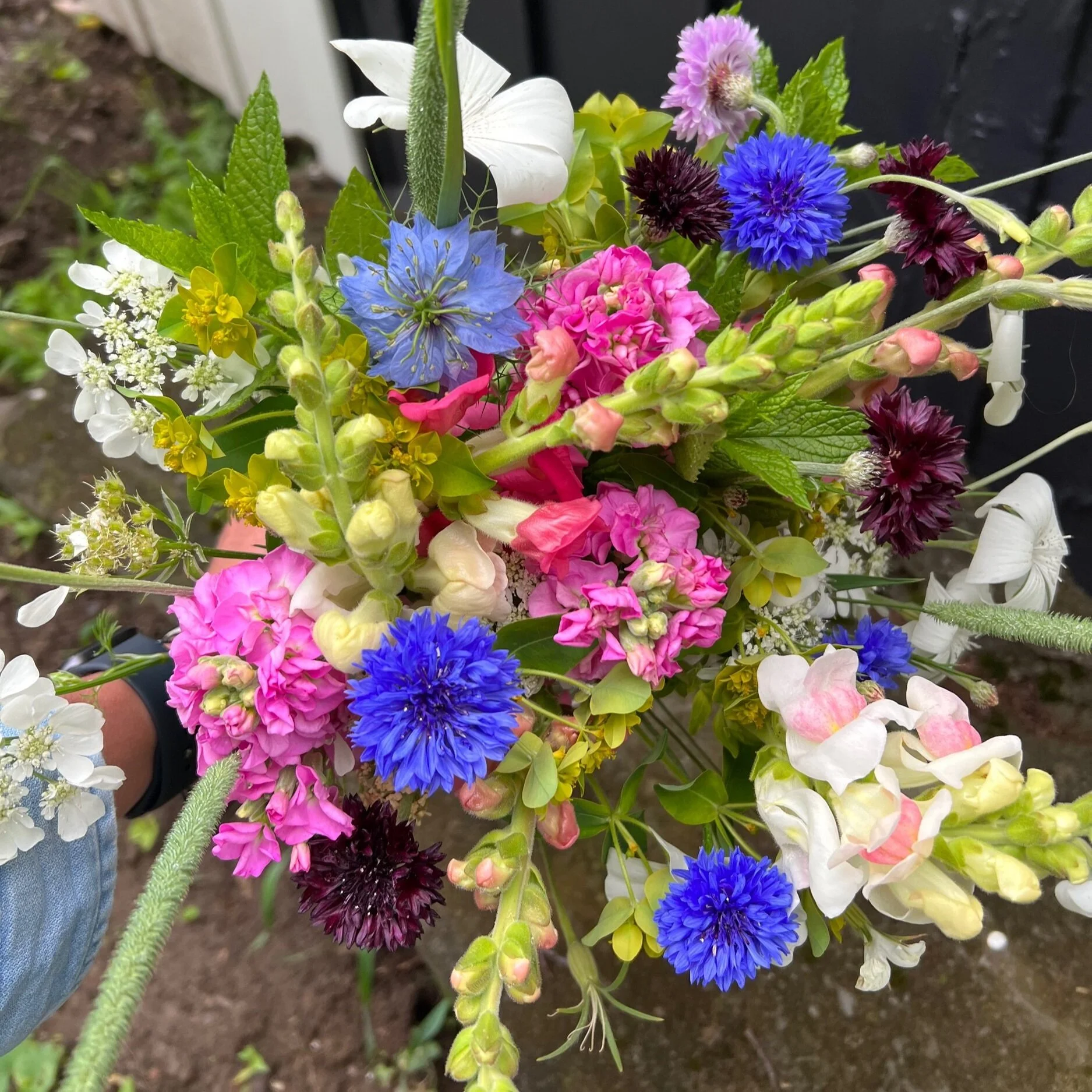 1FEBCB68-A941-472B-80A7-F2D700865835