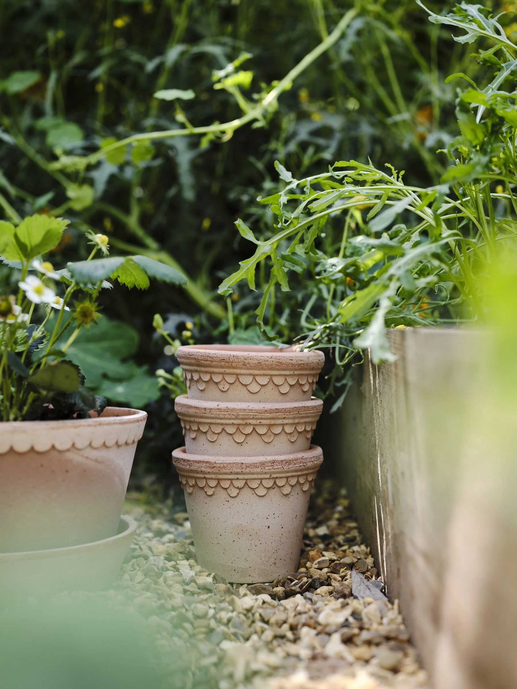 Kobenhavner- The Castle Pot