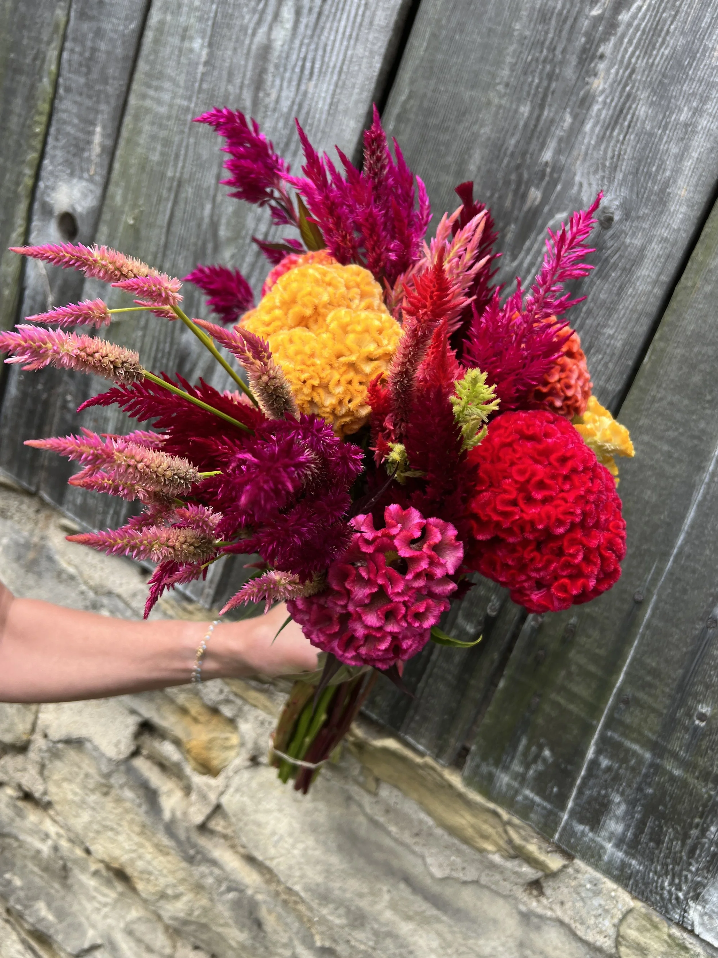 Celosia bouquet