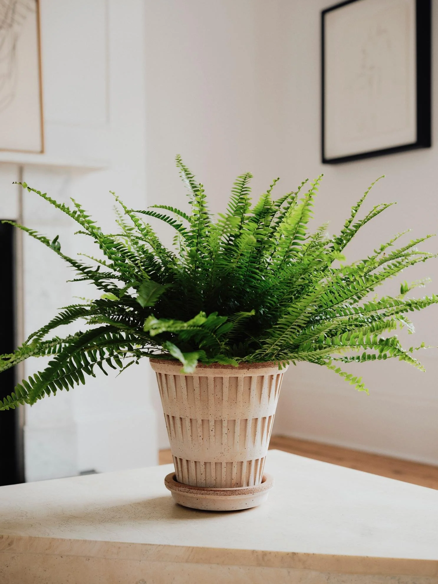 Pantheon- Dome of Grace