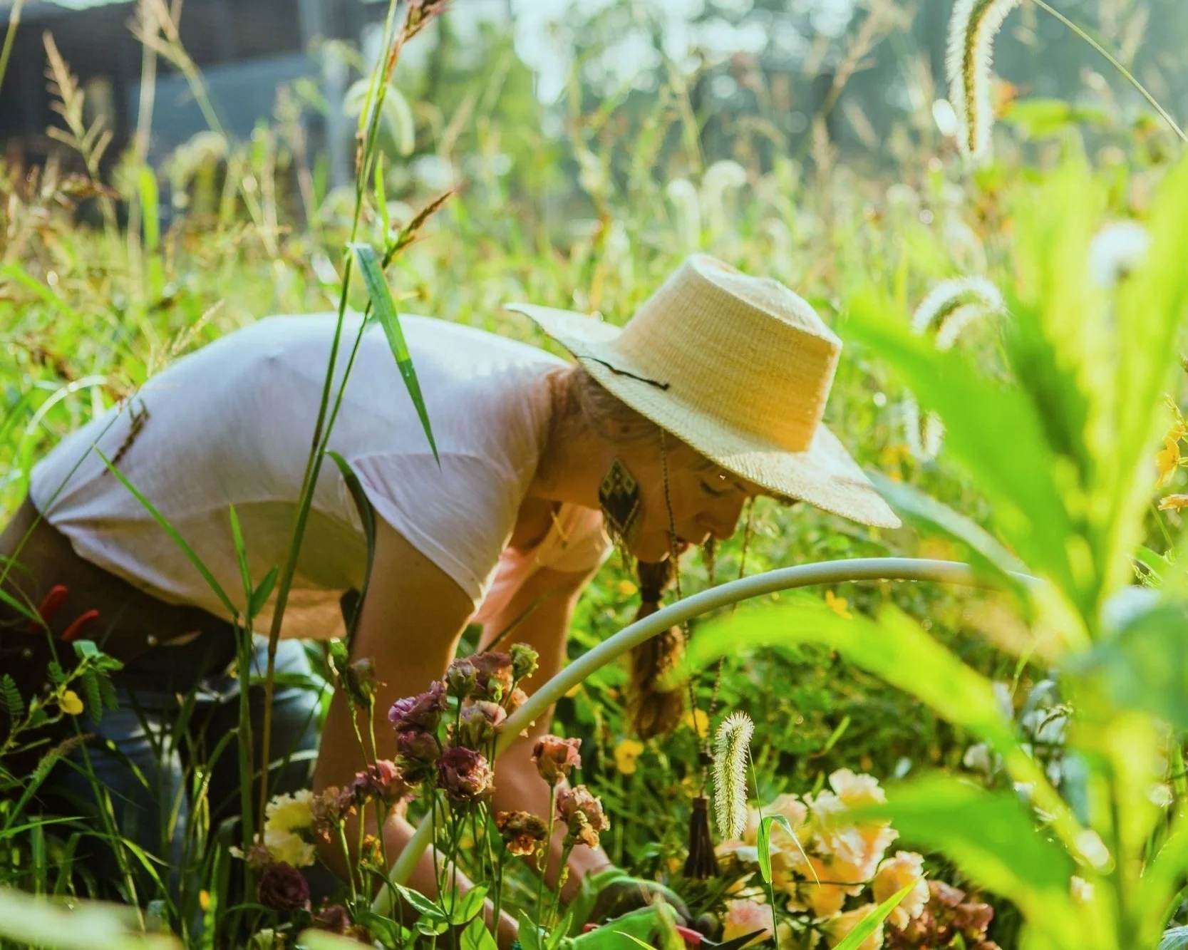 The Healing Power of Flowers 2024