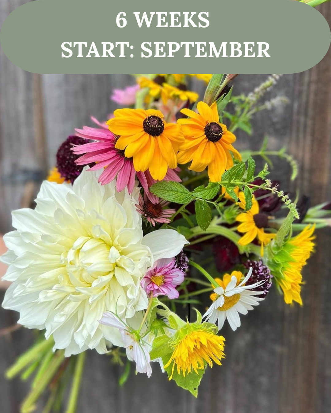 Fall CSA