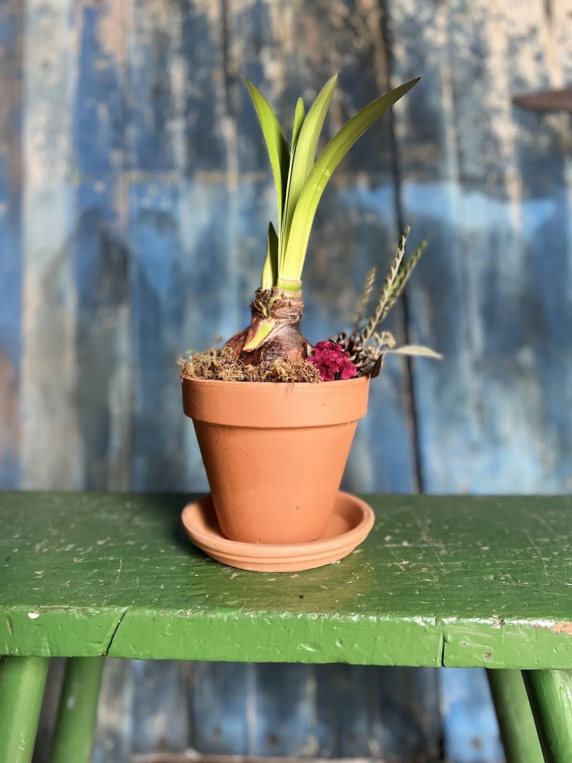 Holiday Bulb Arrangements