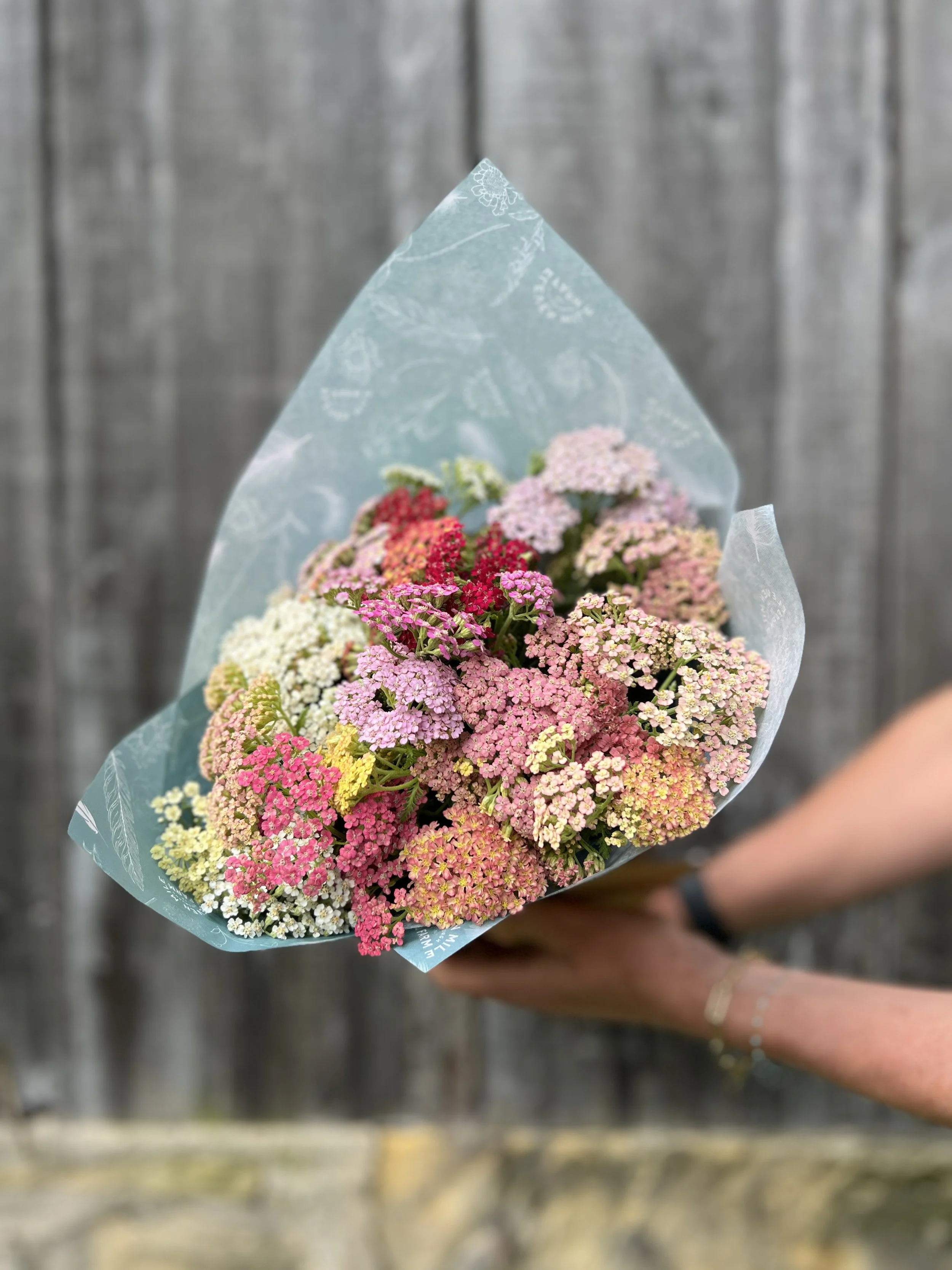 Farmer's Choice Yarrow Bunch