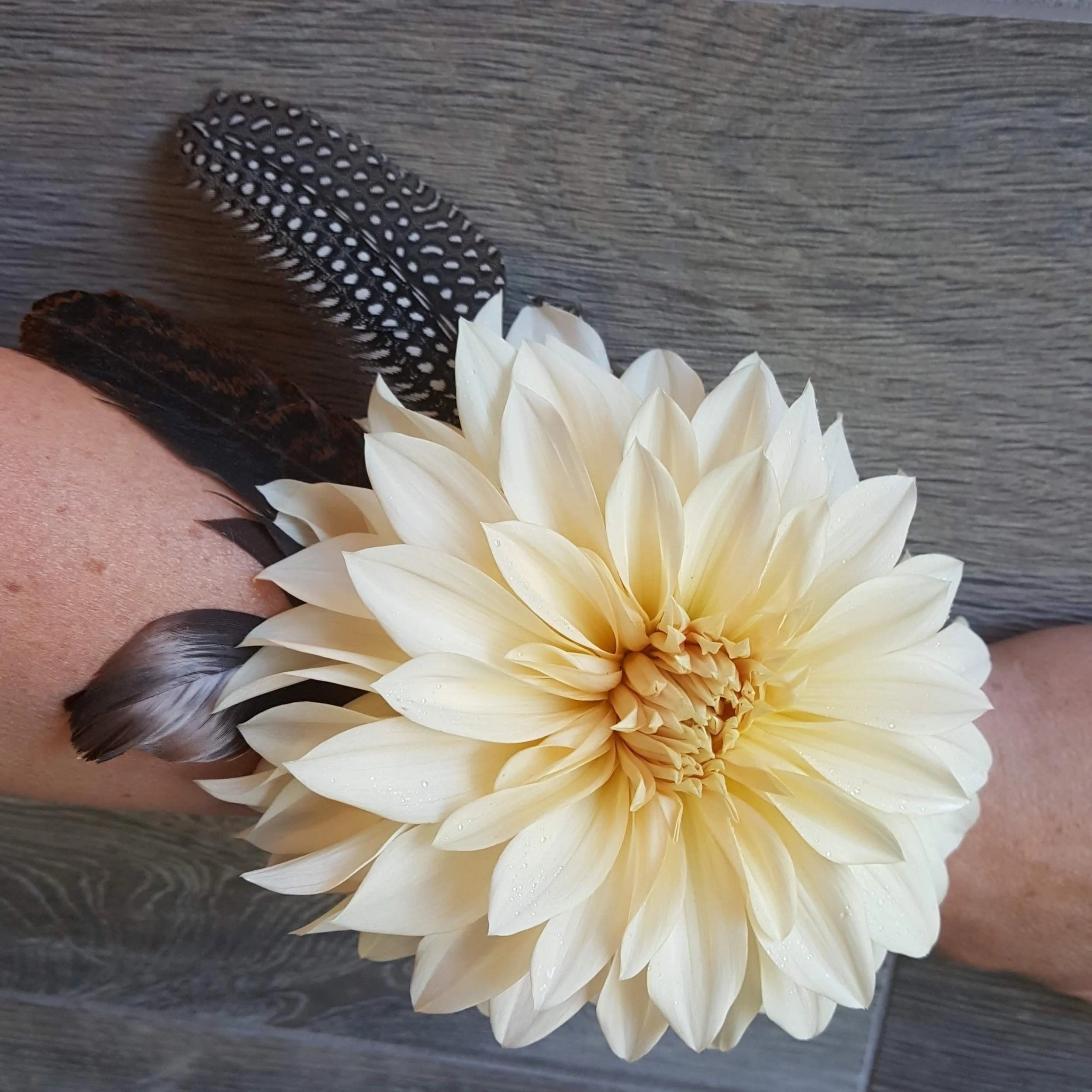 20180928_140107.jpg