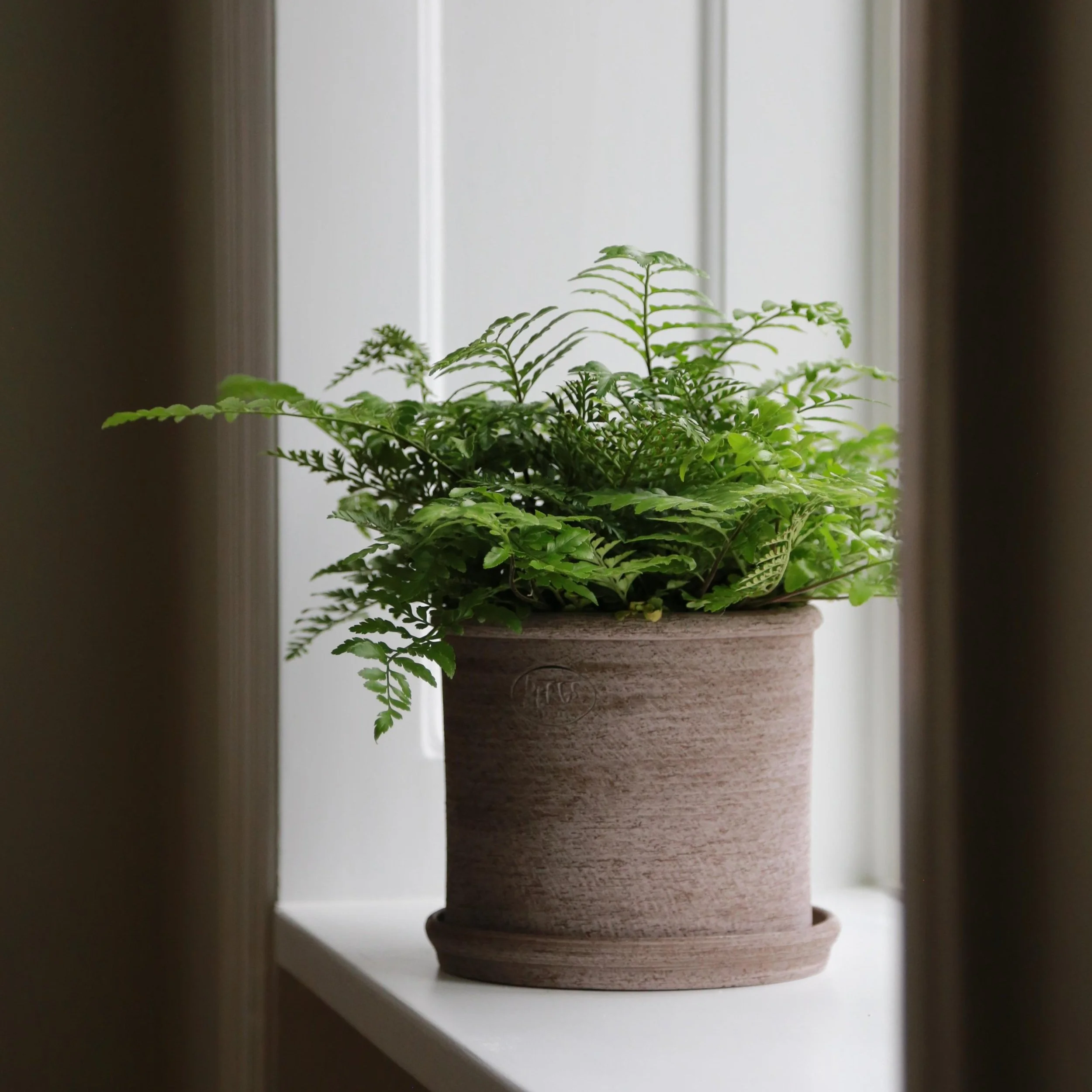 Modena Flowerpot - Thumbnail 2