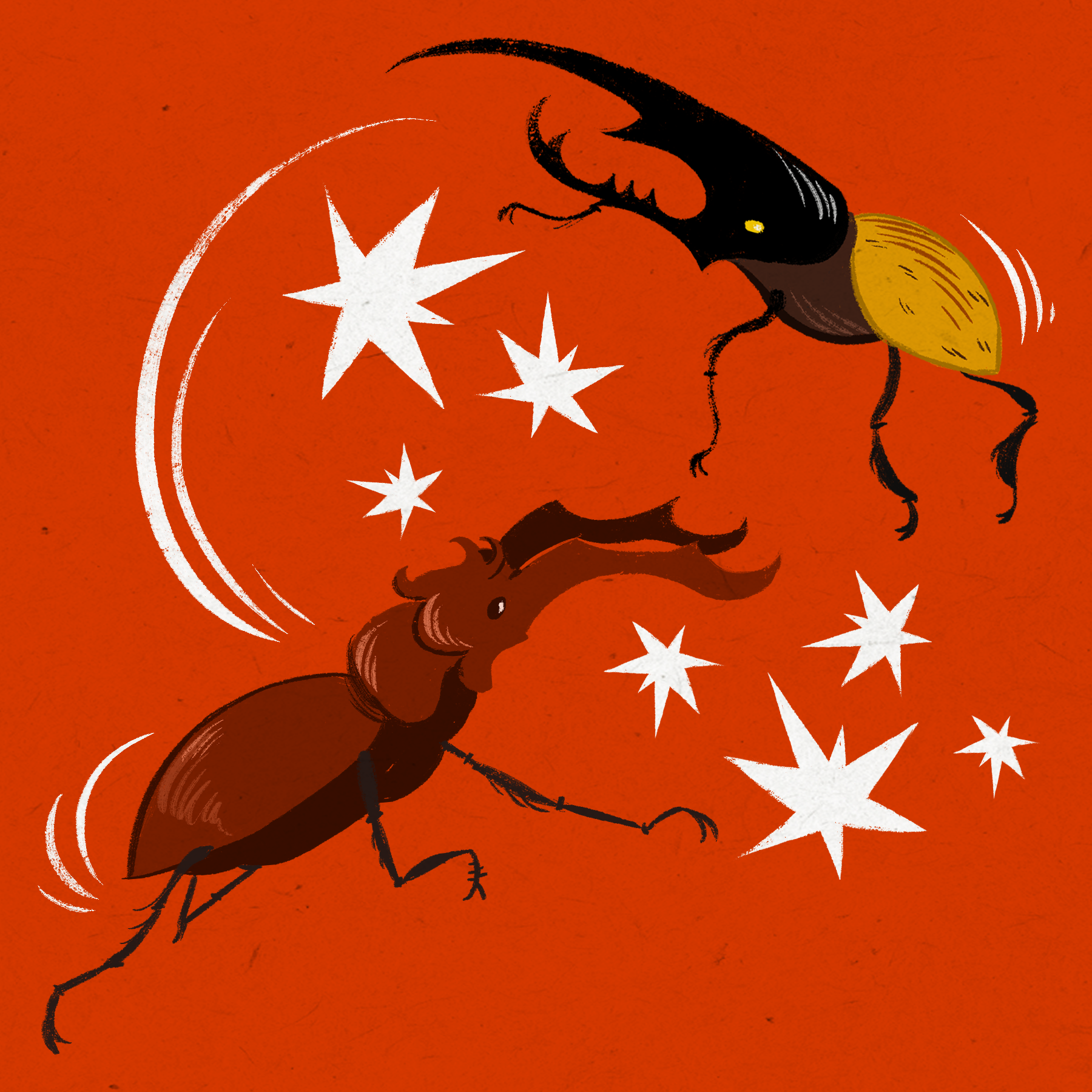Beetle Fight
