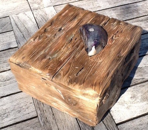 Box with inset Shell