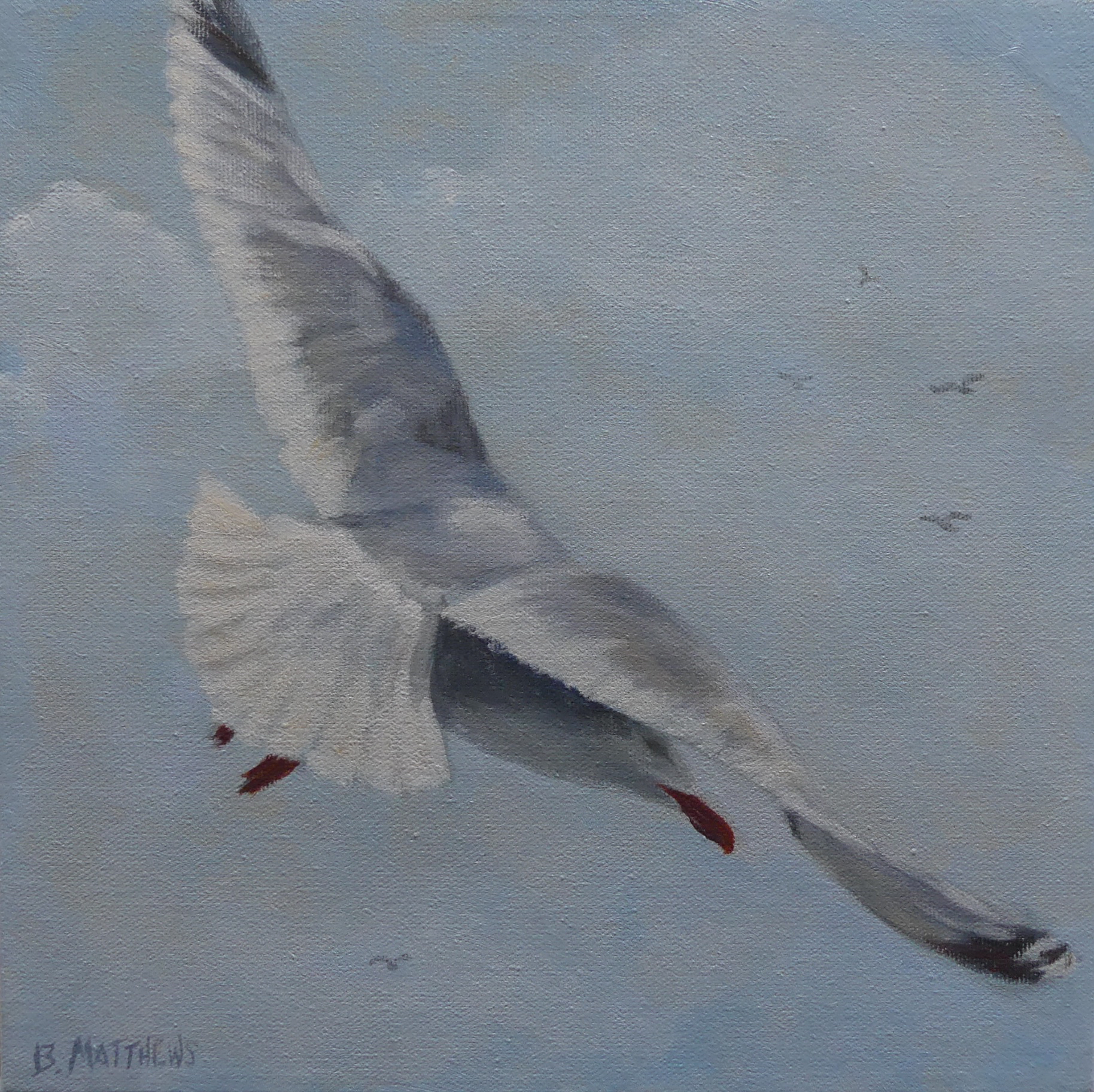 Soaring