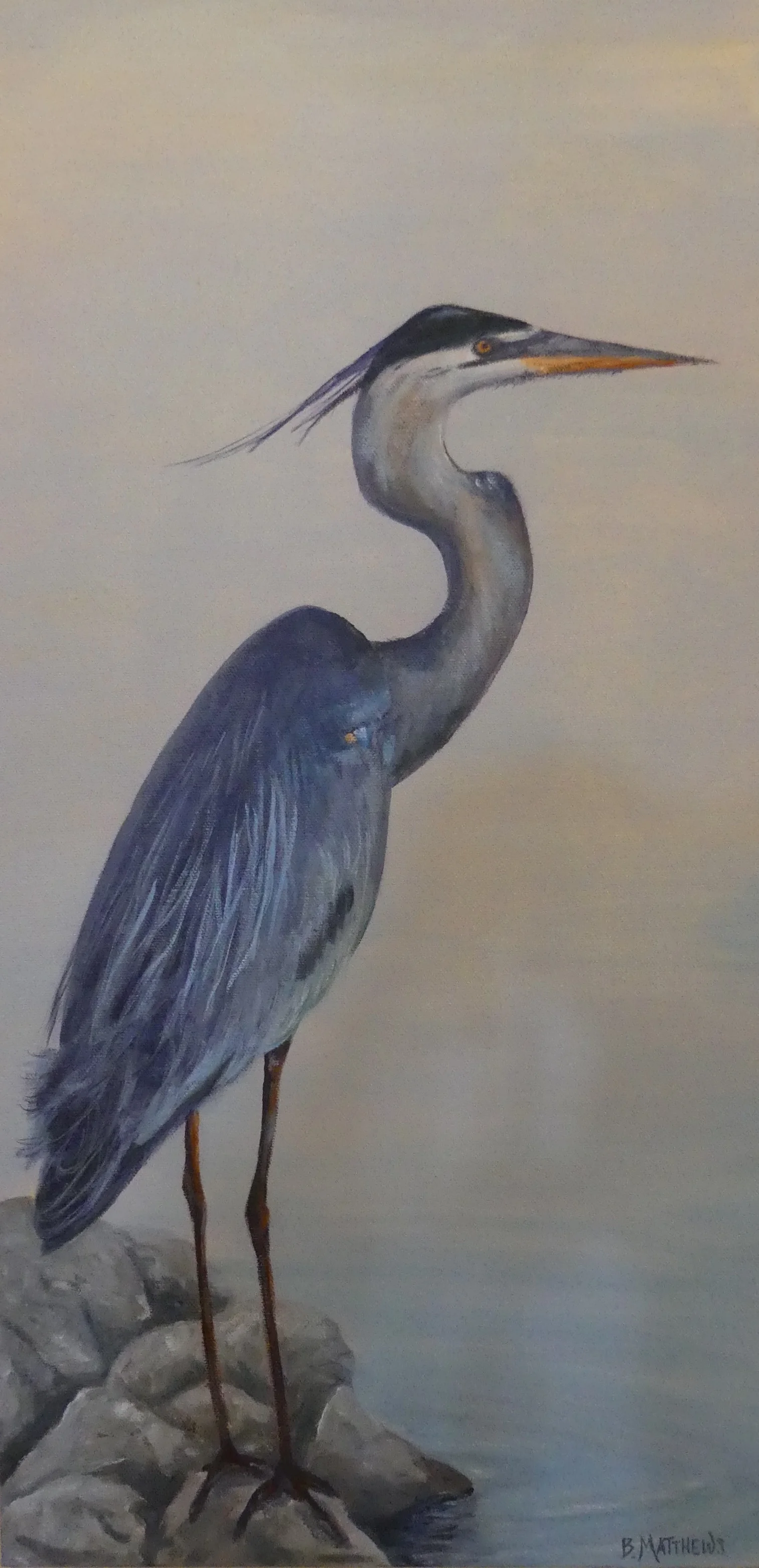 Blue Heron