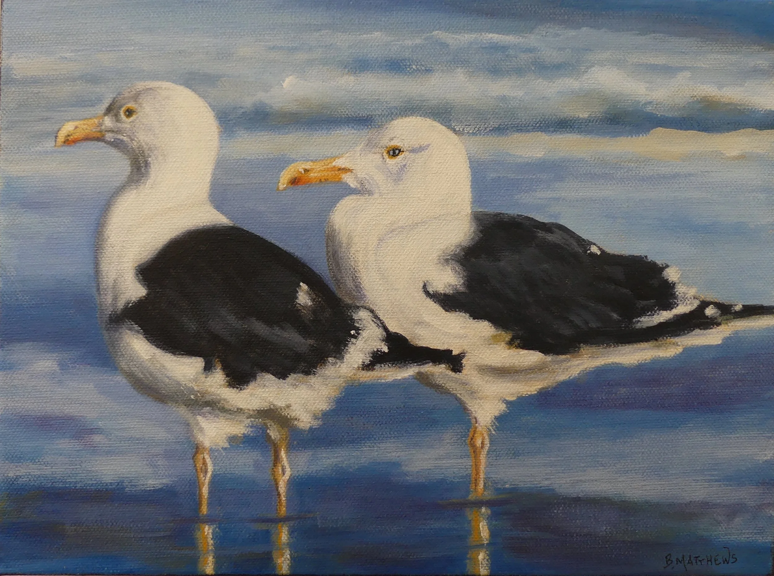 Two Gulls