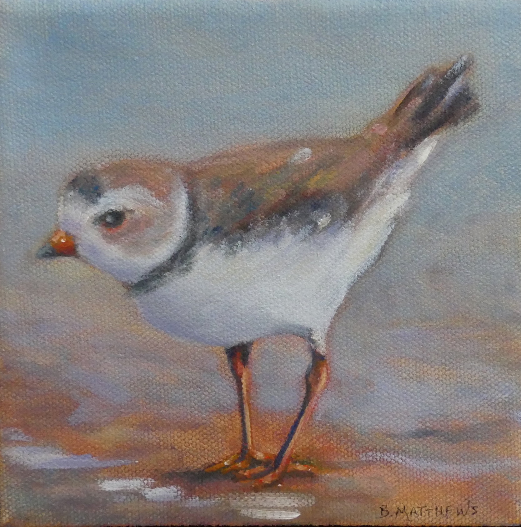 Early Bird