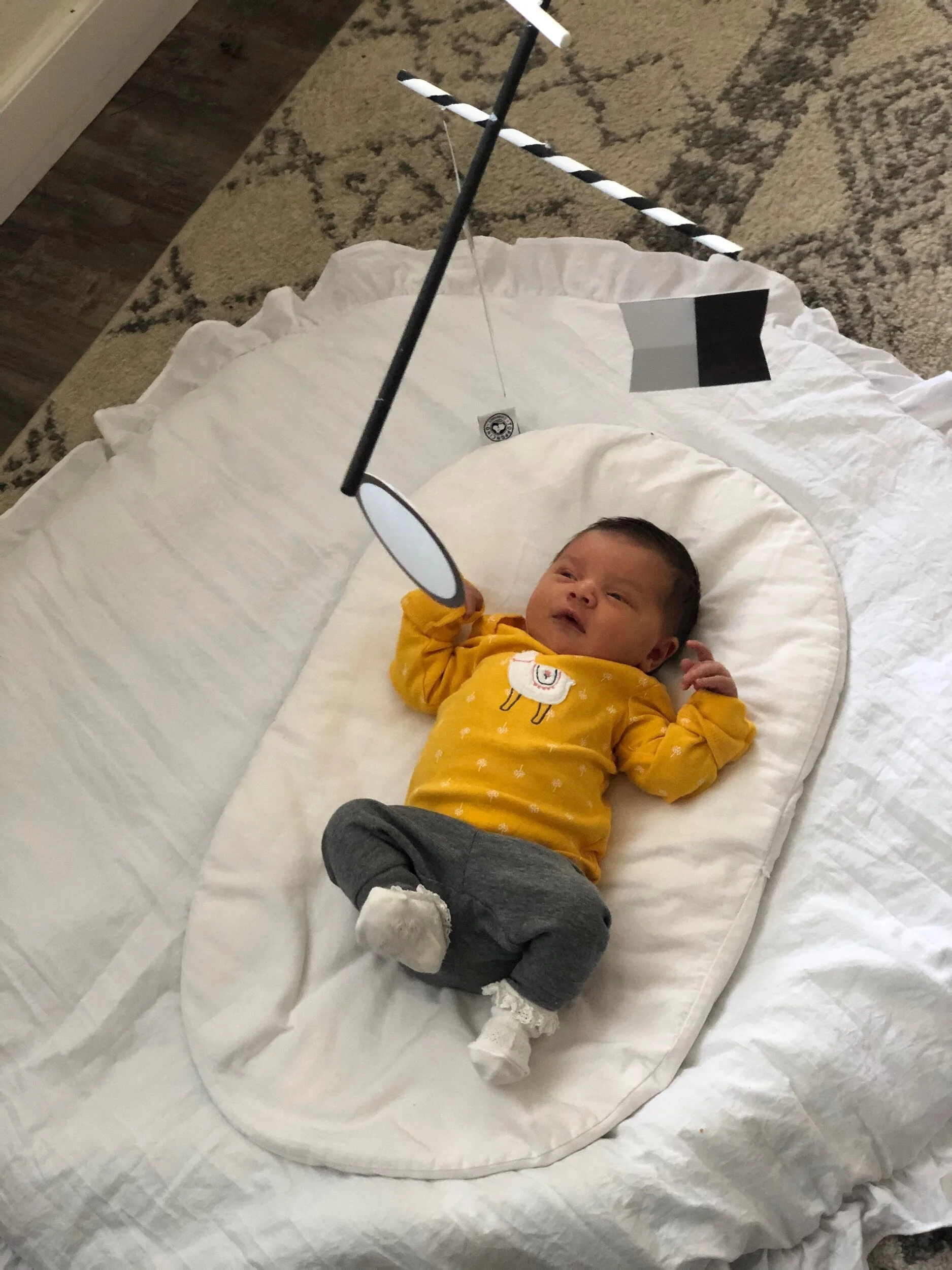 Munari Mobile in action.