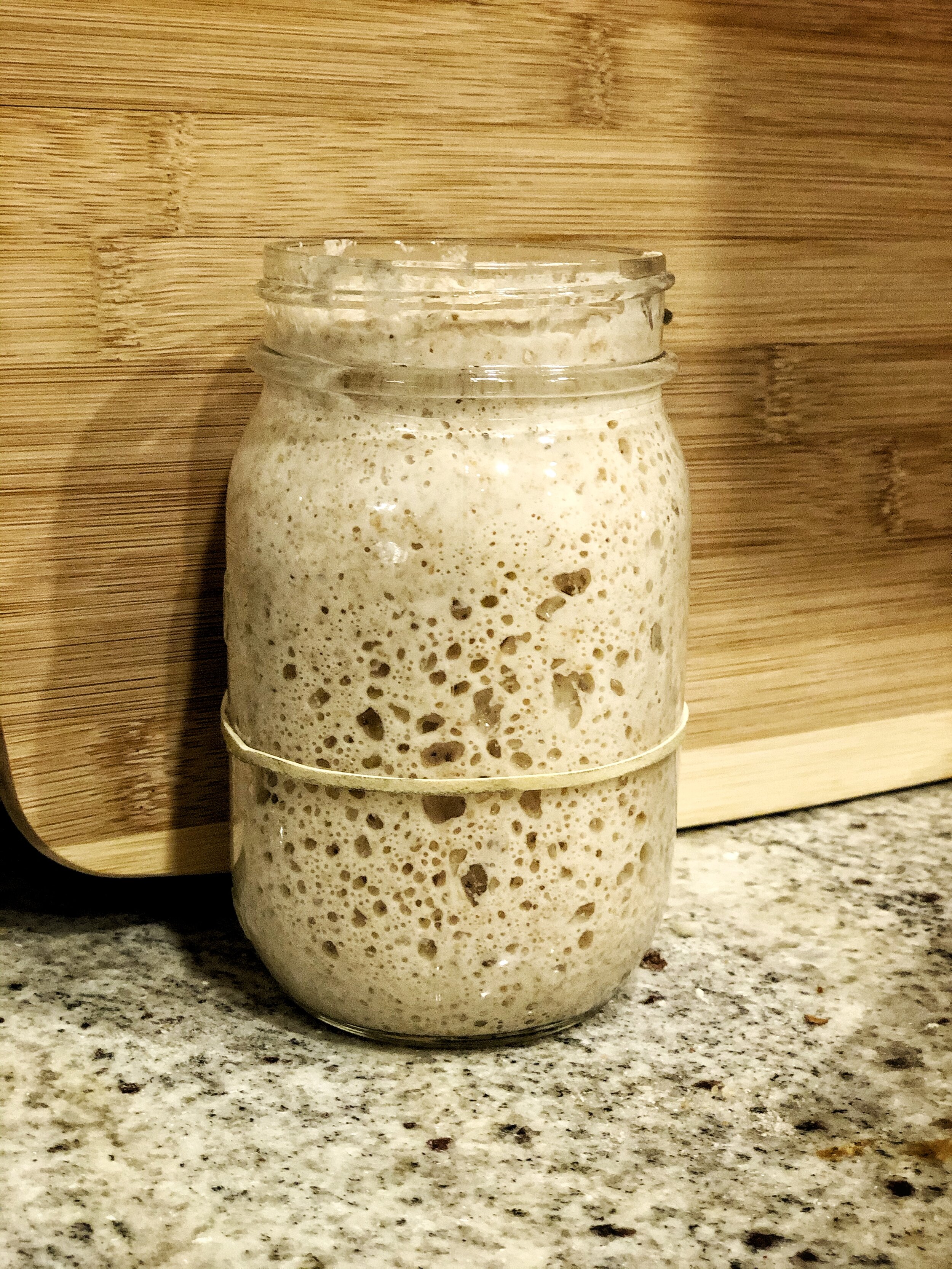 Sourdough Starter
