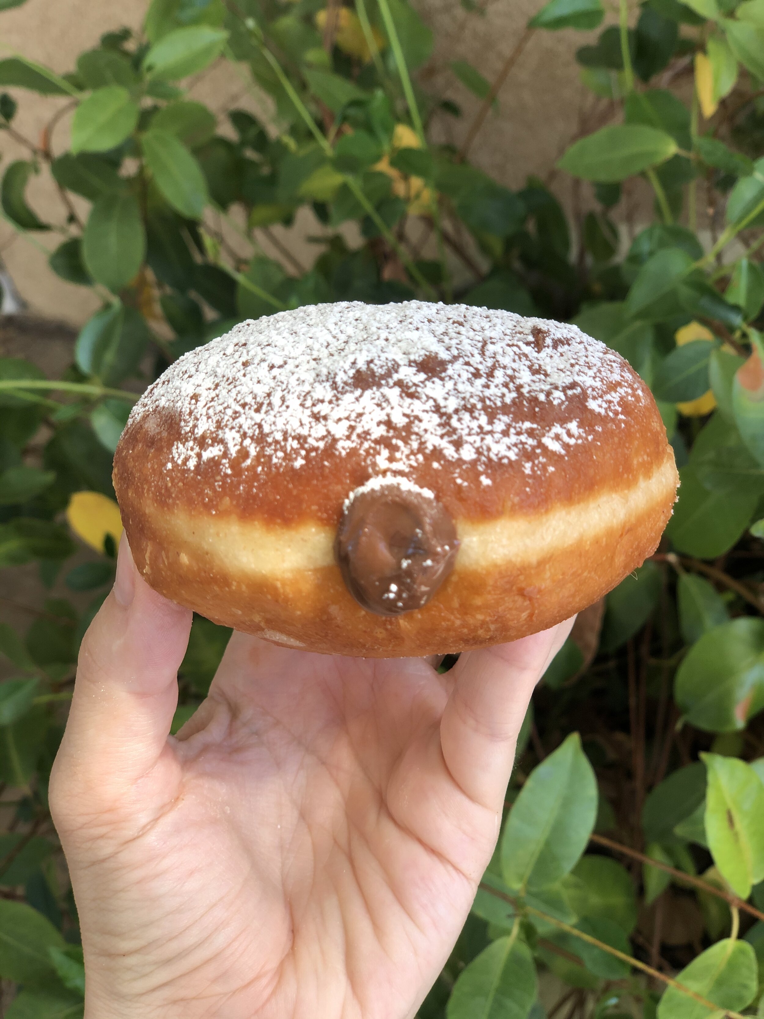 E3E409DE-49E4-413C-9644-E6AC55E5701E