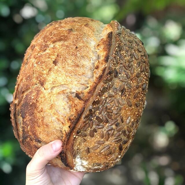 Preorder menu for next week goes out live today at 5. Bringing back the Sunflower loaf. Sunflowers, hemp seeds, and sesame seeds can be found throughout the bread and coated on the crust for a deliciously roasted crunch. It&rsquo;s one of my personal