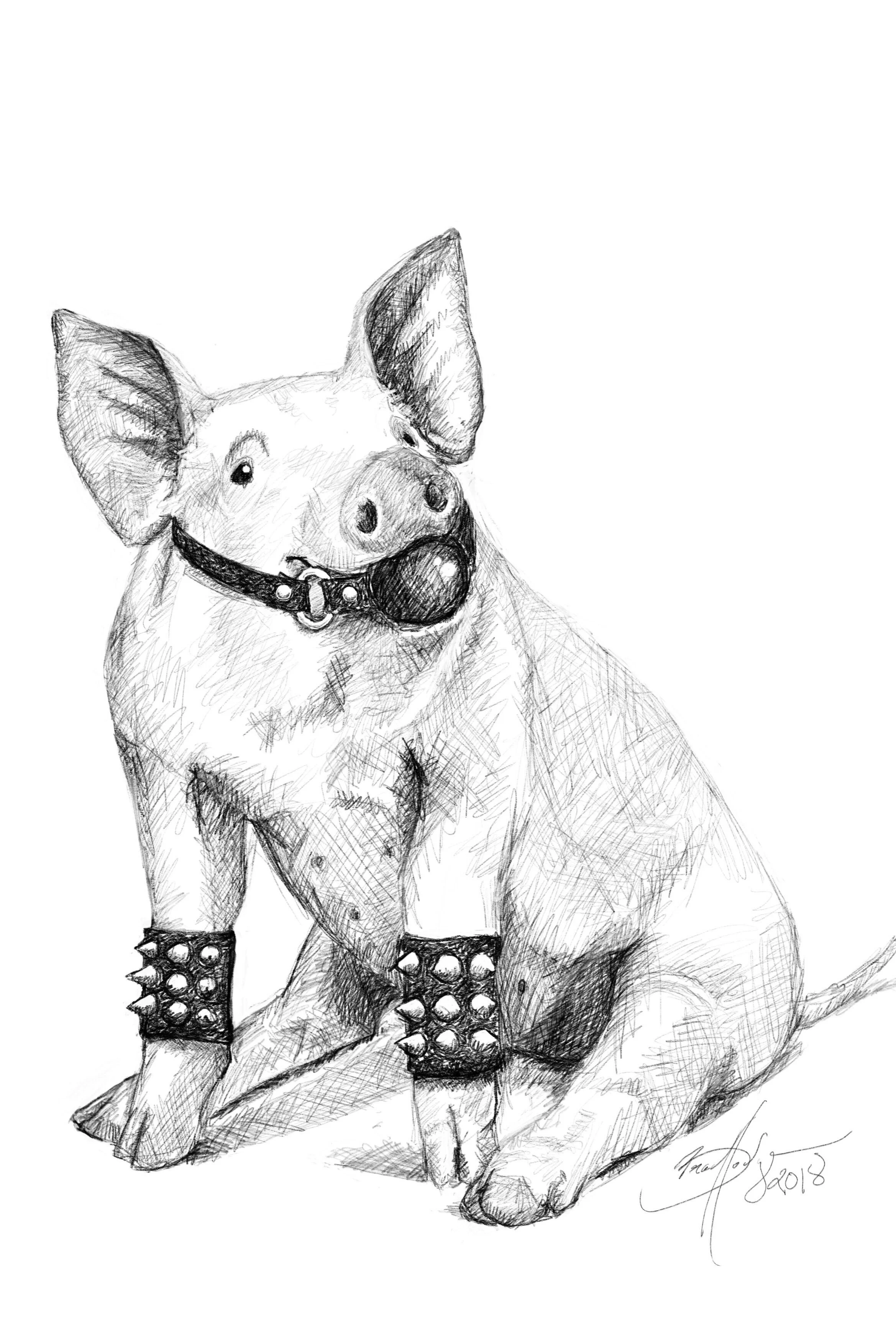 Pig.jpg