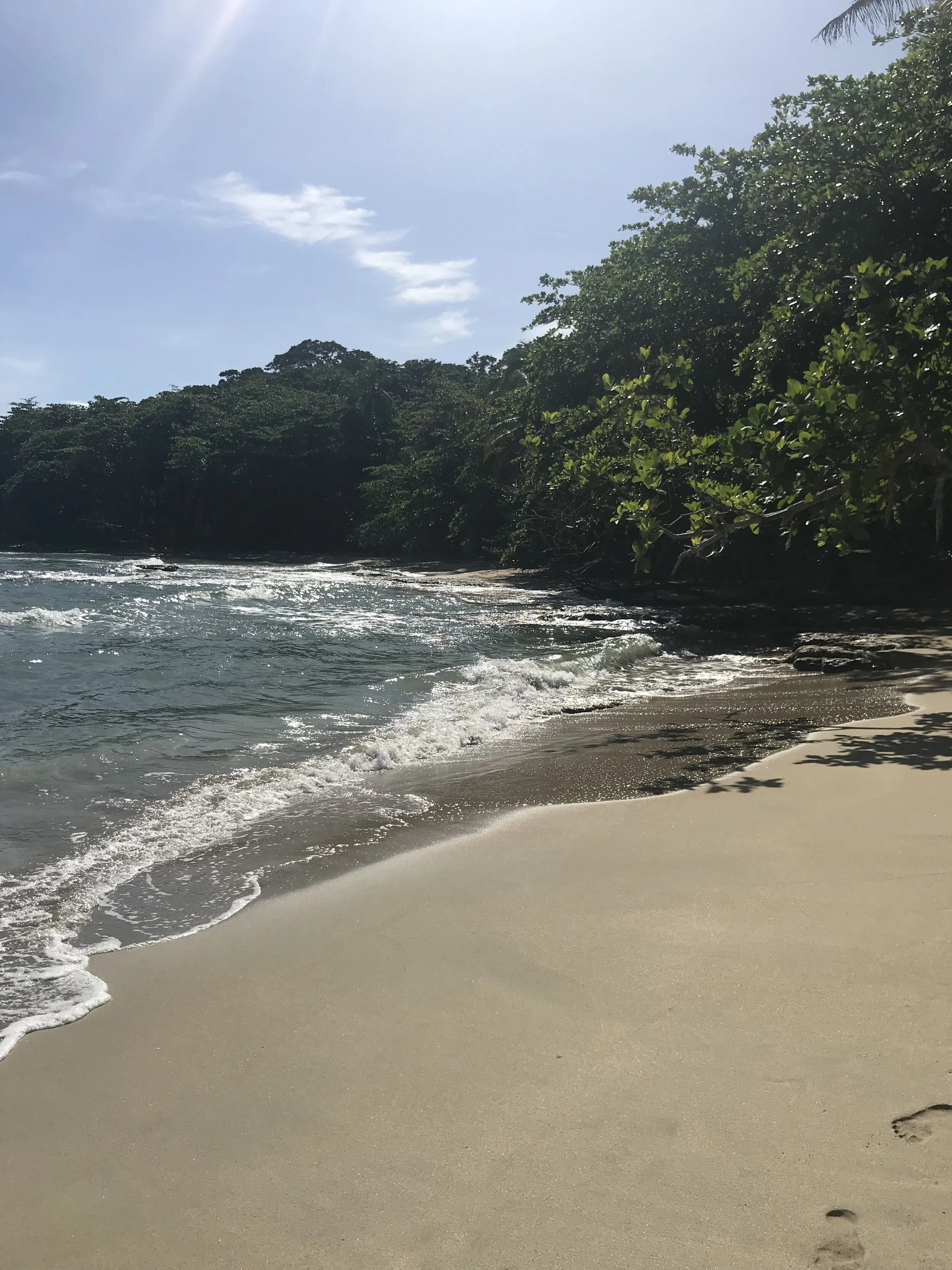 2019-10-10 08.26.56.jpg