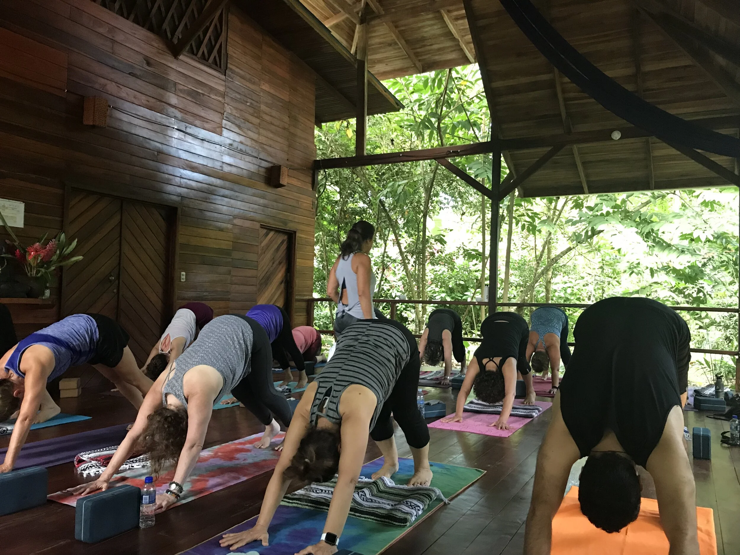 2019-09-29 07.22.54.jpg