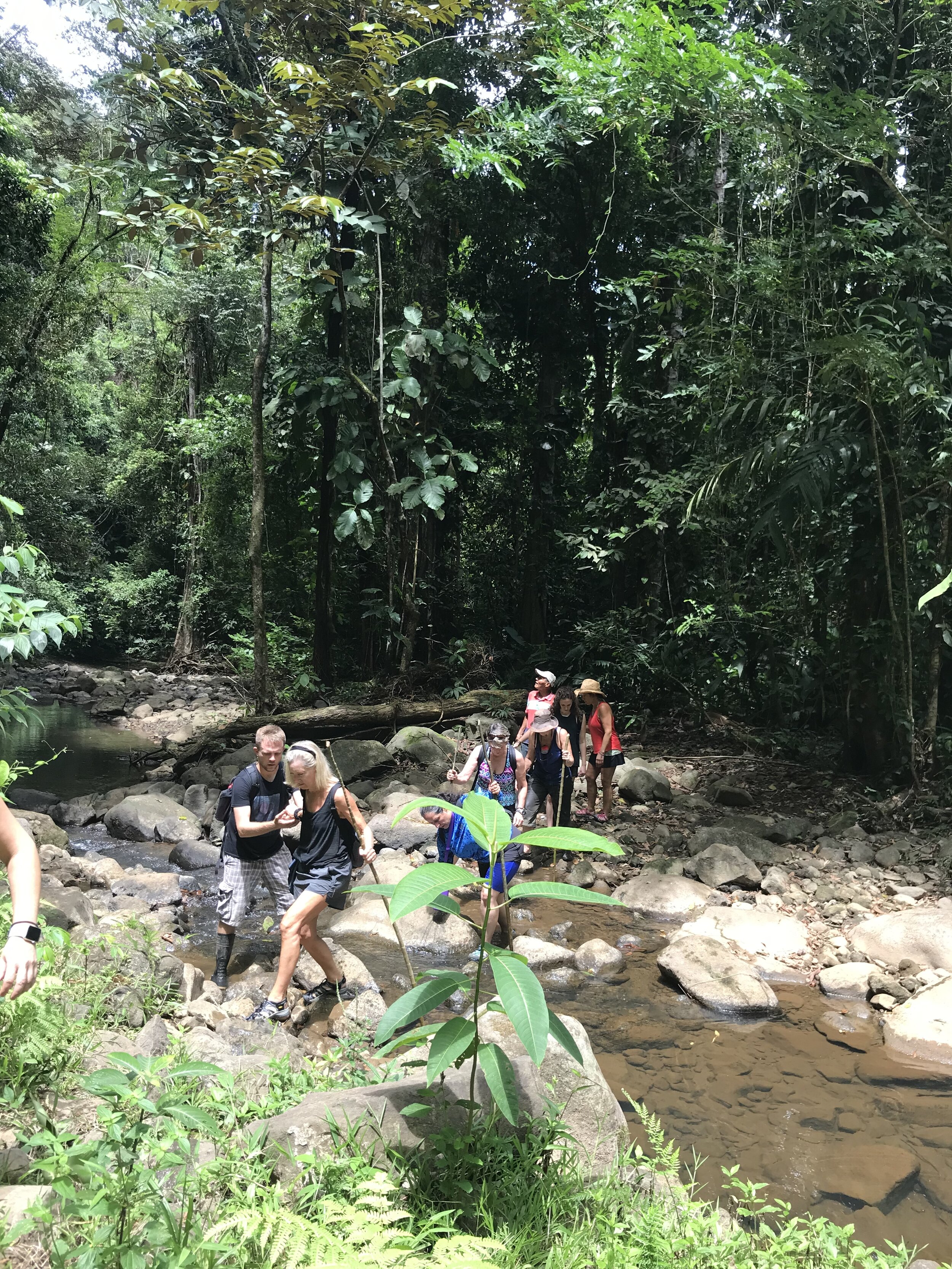 2019-10-06 12.13.12.jpg