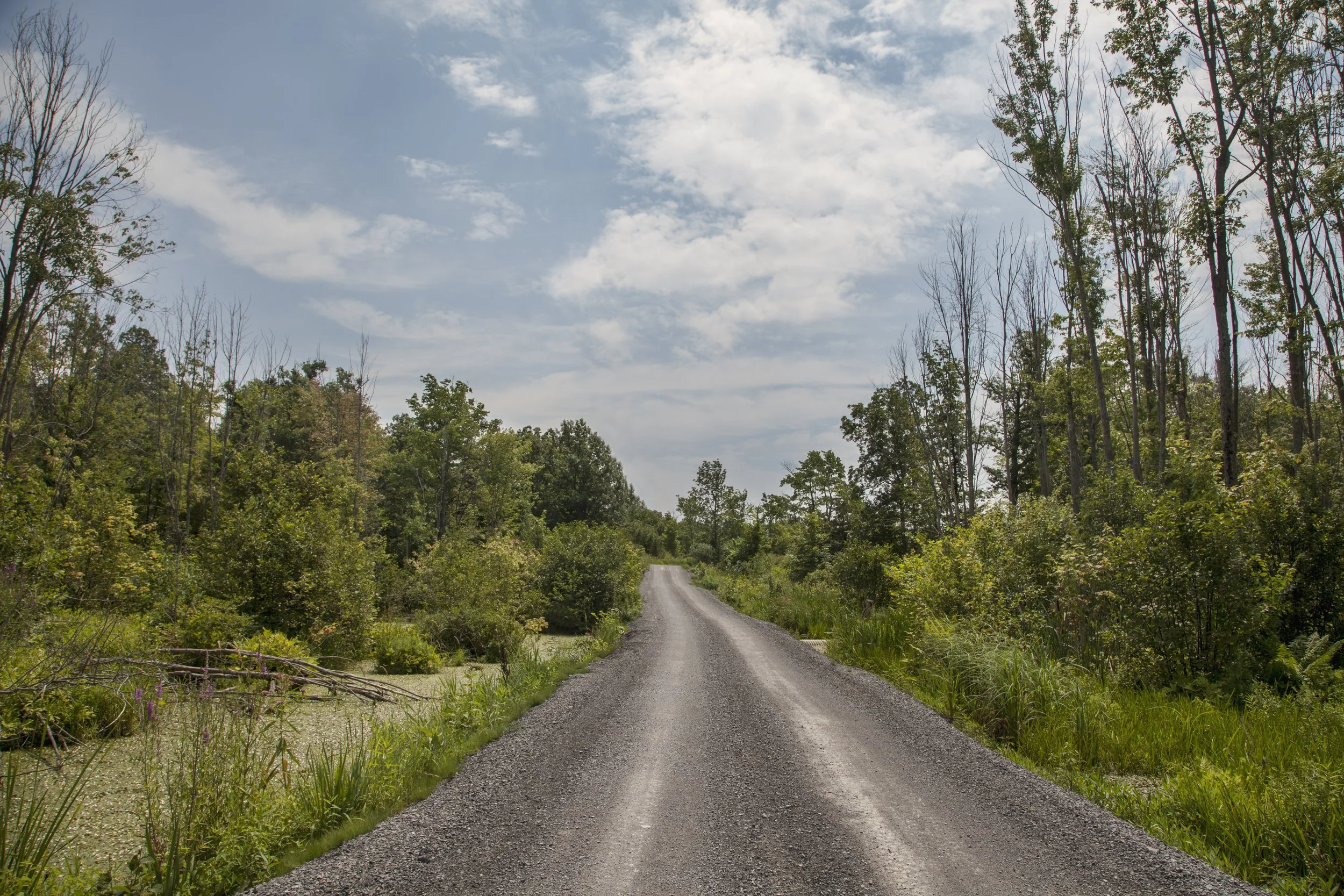 Road.jpg