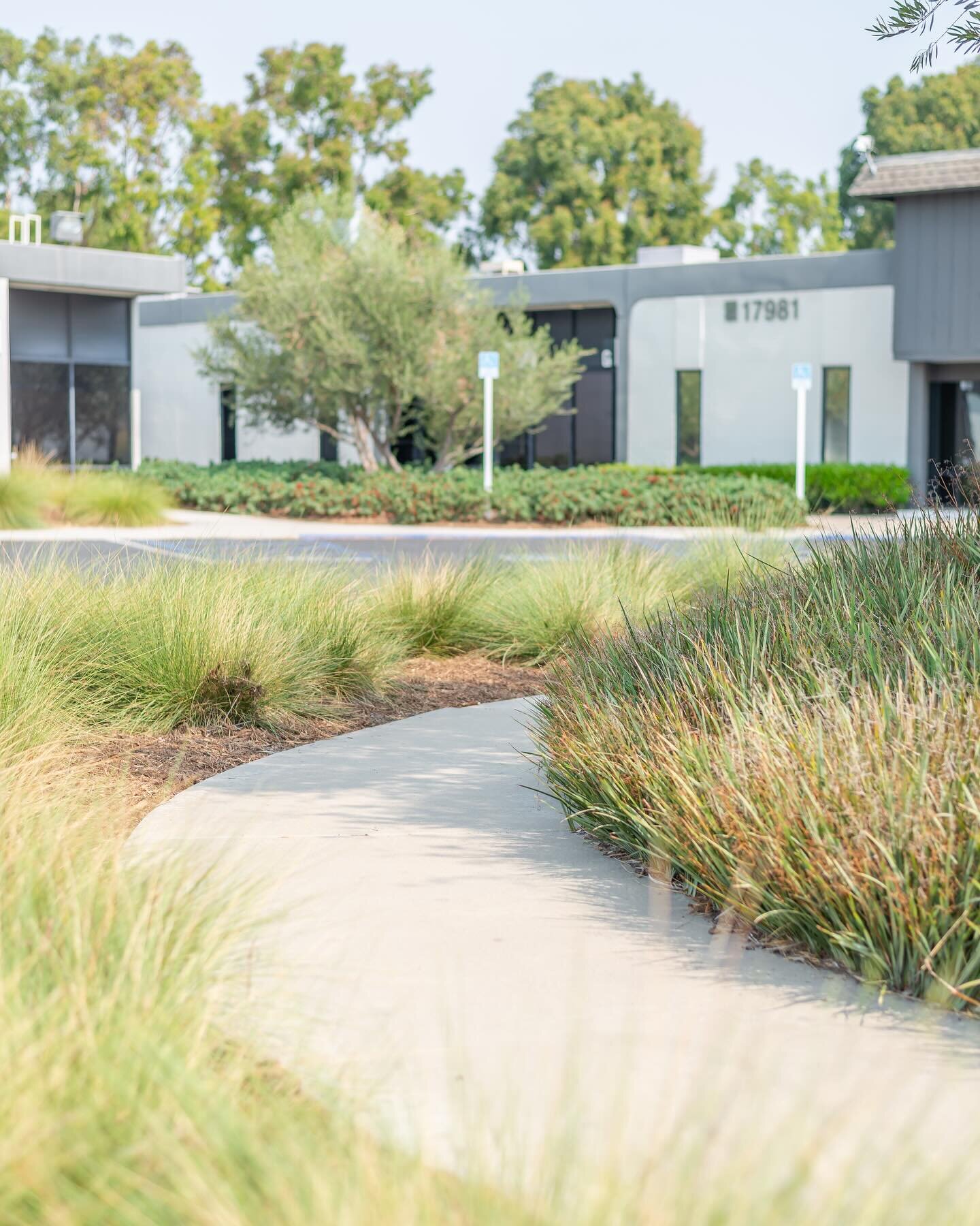 Feeling like spring over here! We&rsquo;re all about great (drought-tolerant) landscaping at our office properties. 🍃