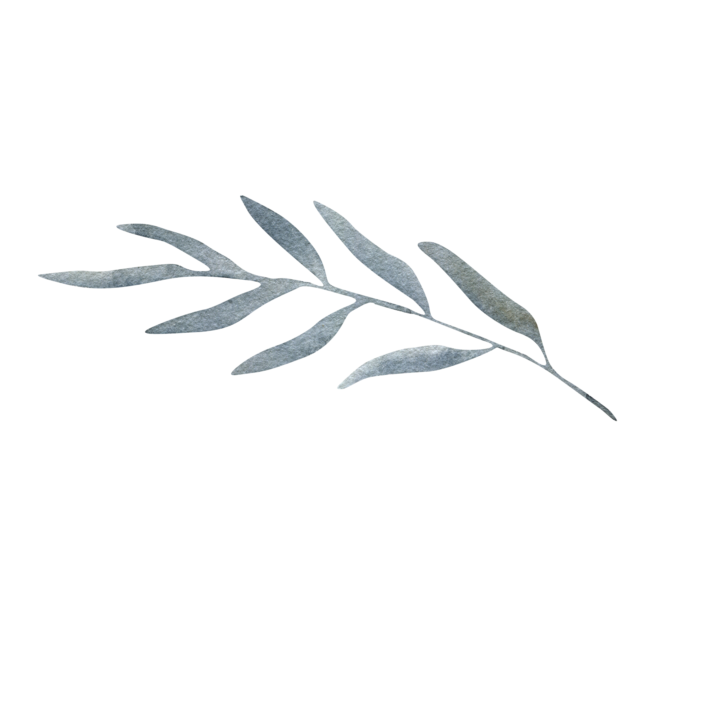 leaf_14.png