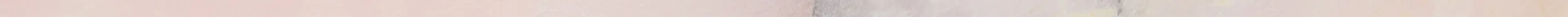 hintergrund_nala_linie.jpg