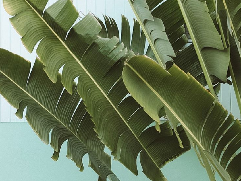 Marketing In A Crisis: 5 Steps to get back on track