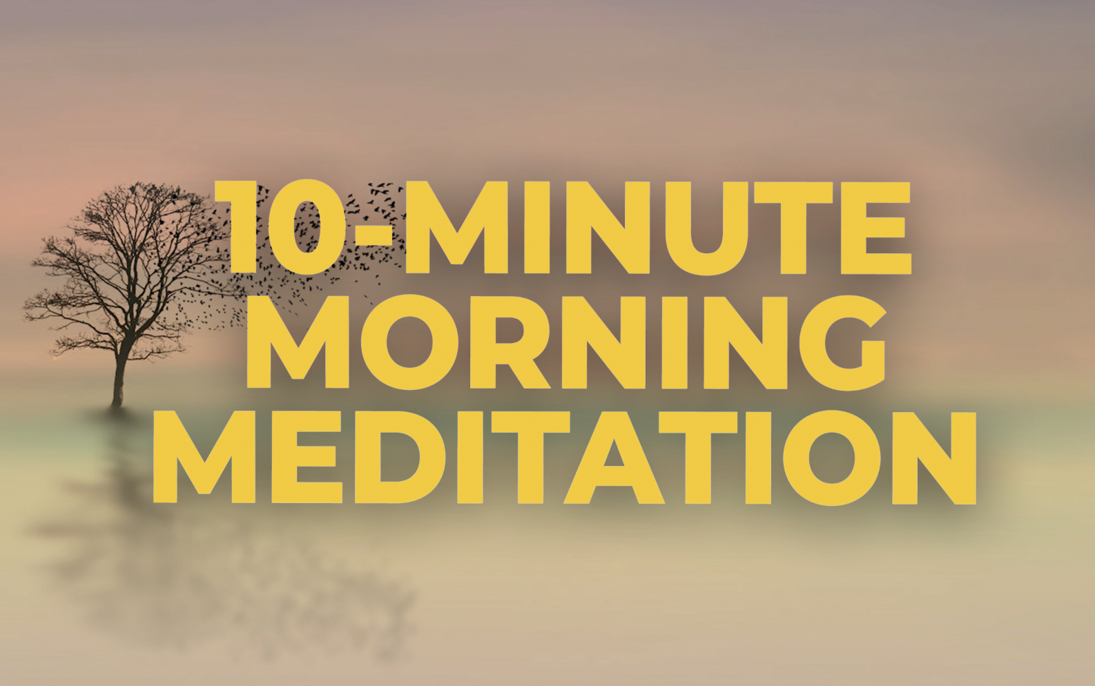 Morning Meditation