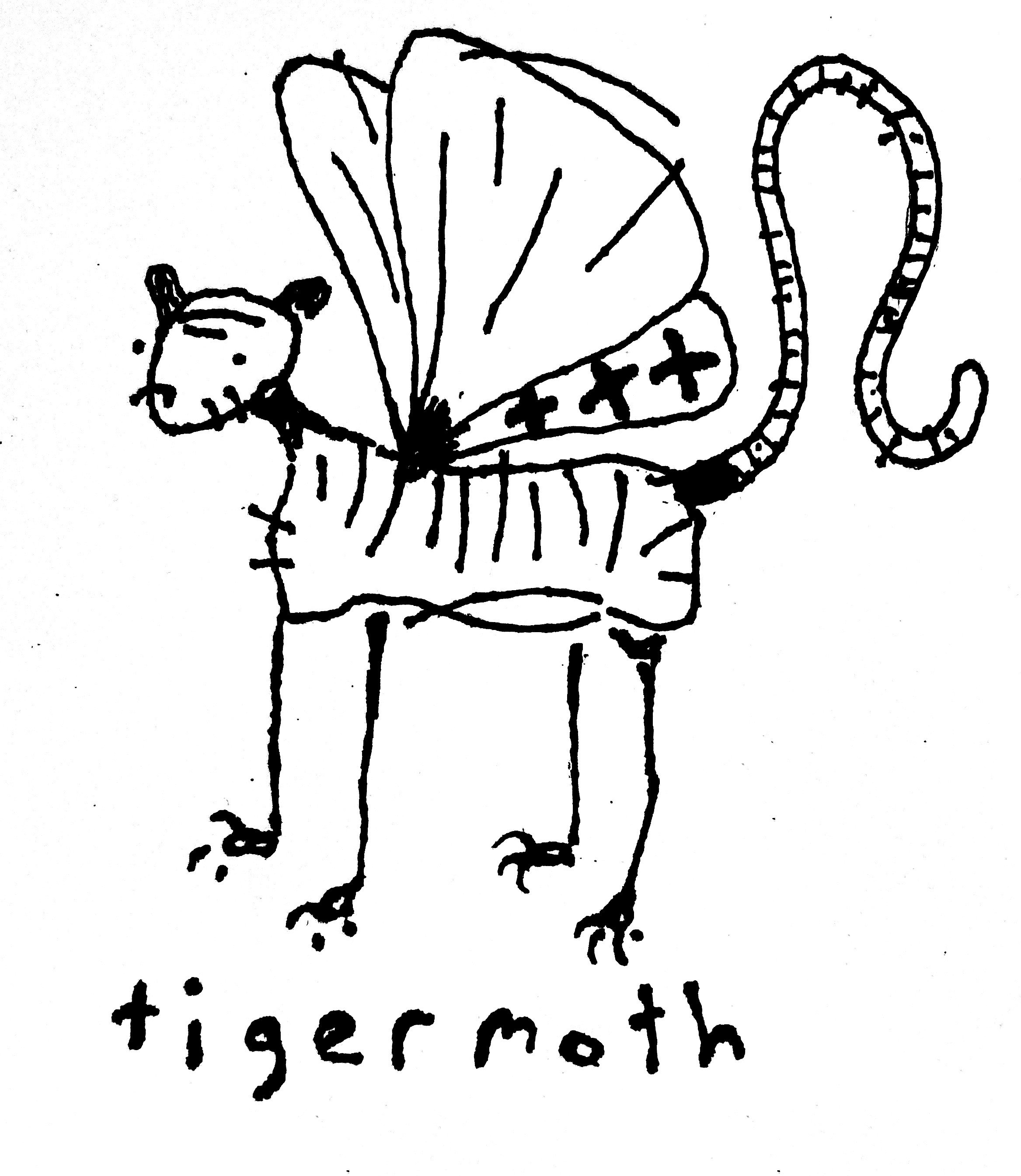 Logo_edited.jpg
