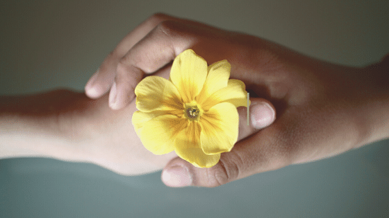 Online Therapy & Tricare Health Insurance: Frequently Asked Questions