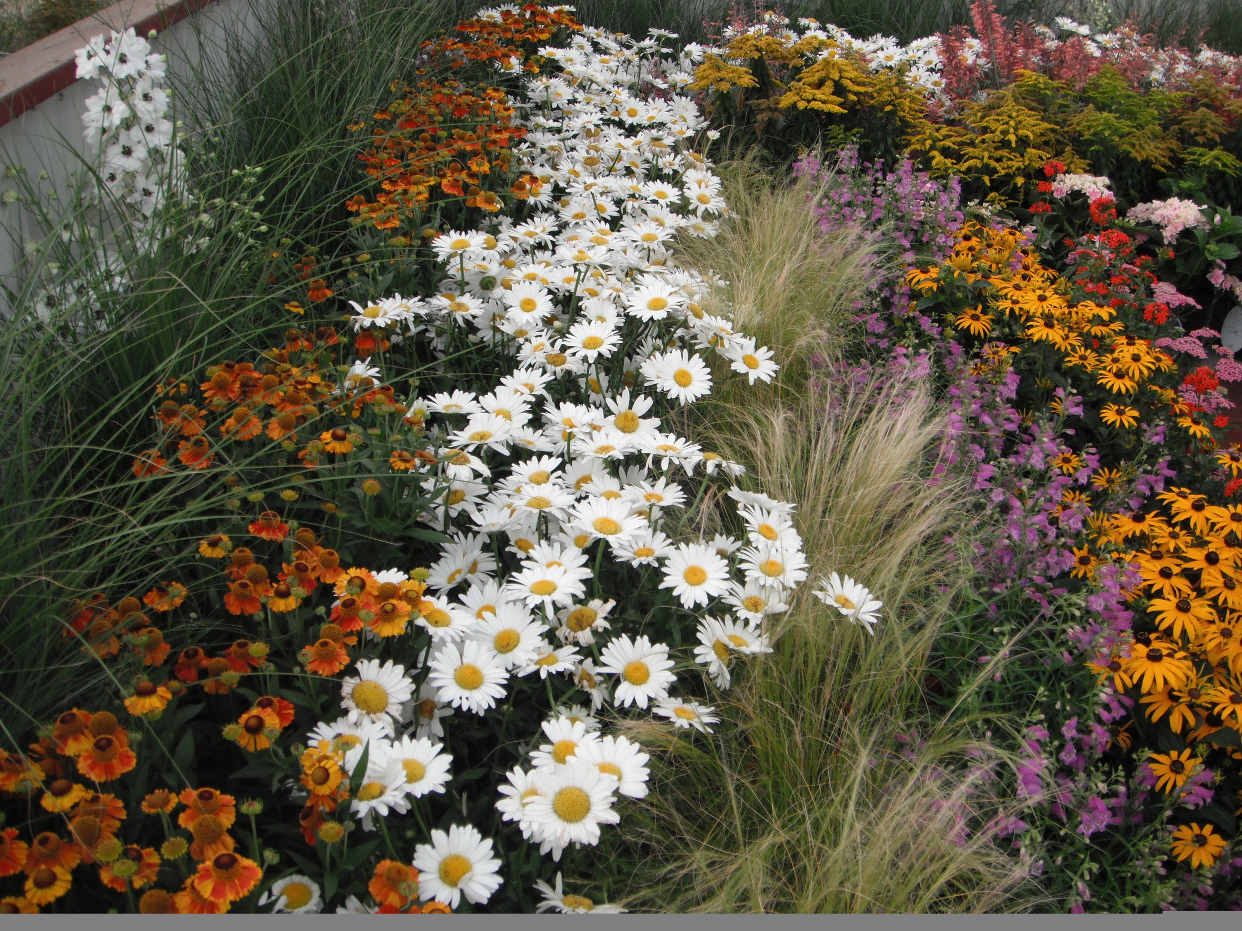 Create Beautiful Homemade Flower Bouquets 