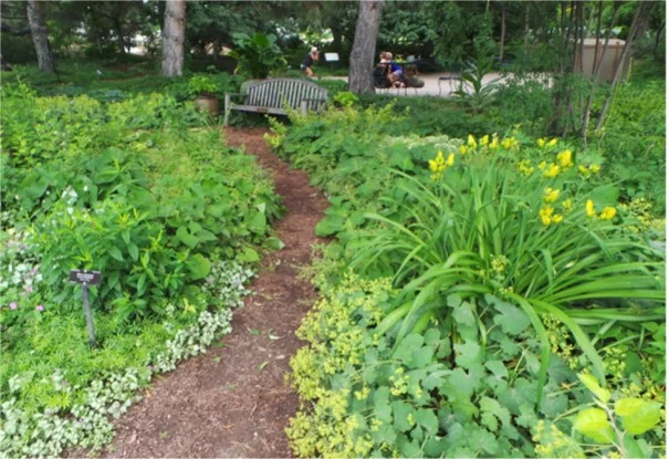 Inviting Shade Gardens