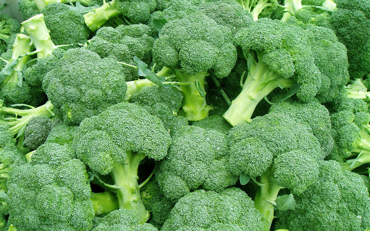 brocoli.jpeg