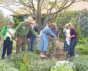 Classes to Improve Your Gardening Skills