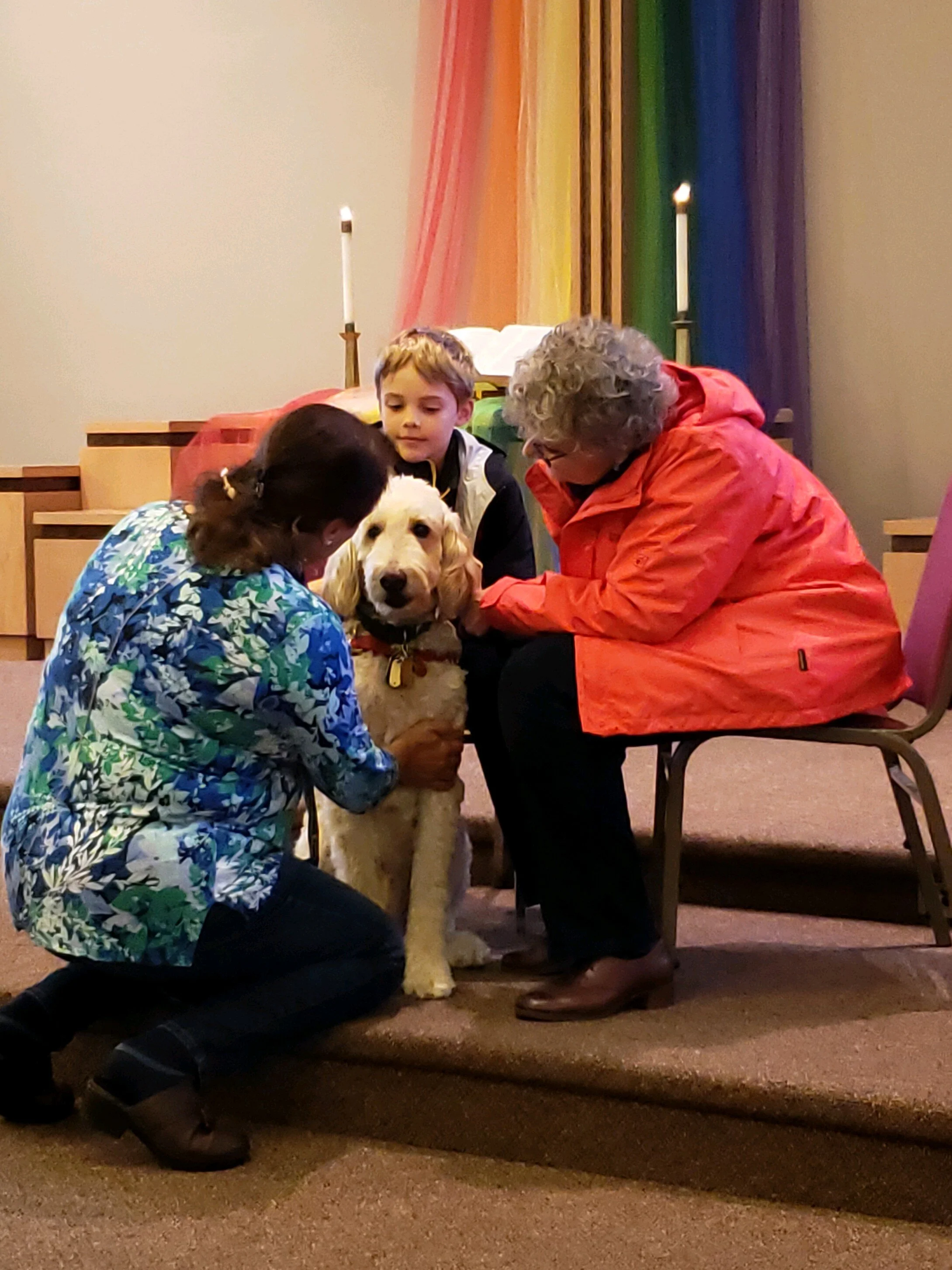 Blessing of the Animals, 2019