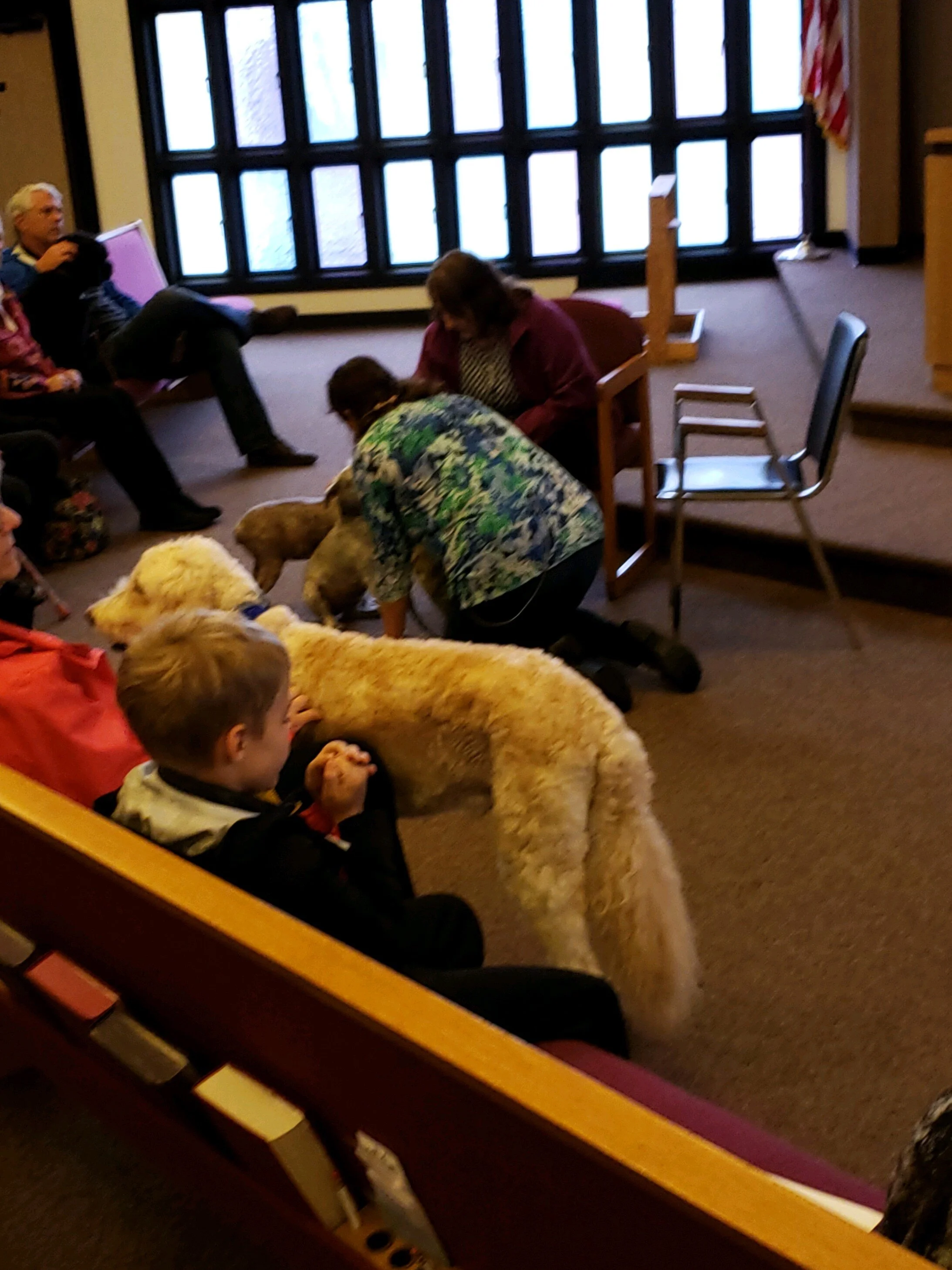 Blessing of the Animals, 2019