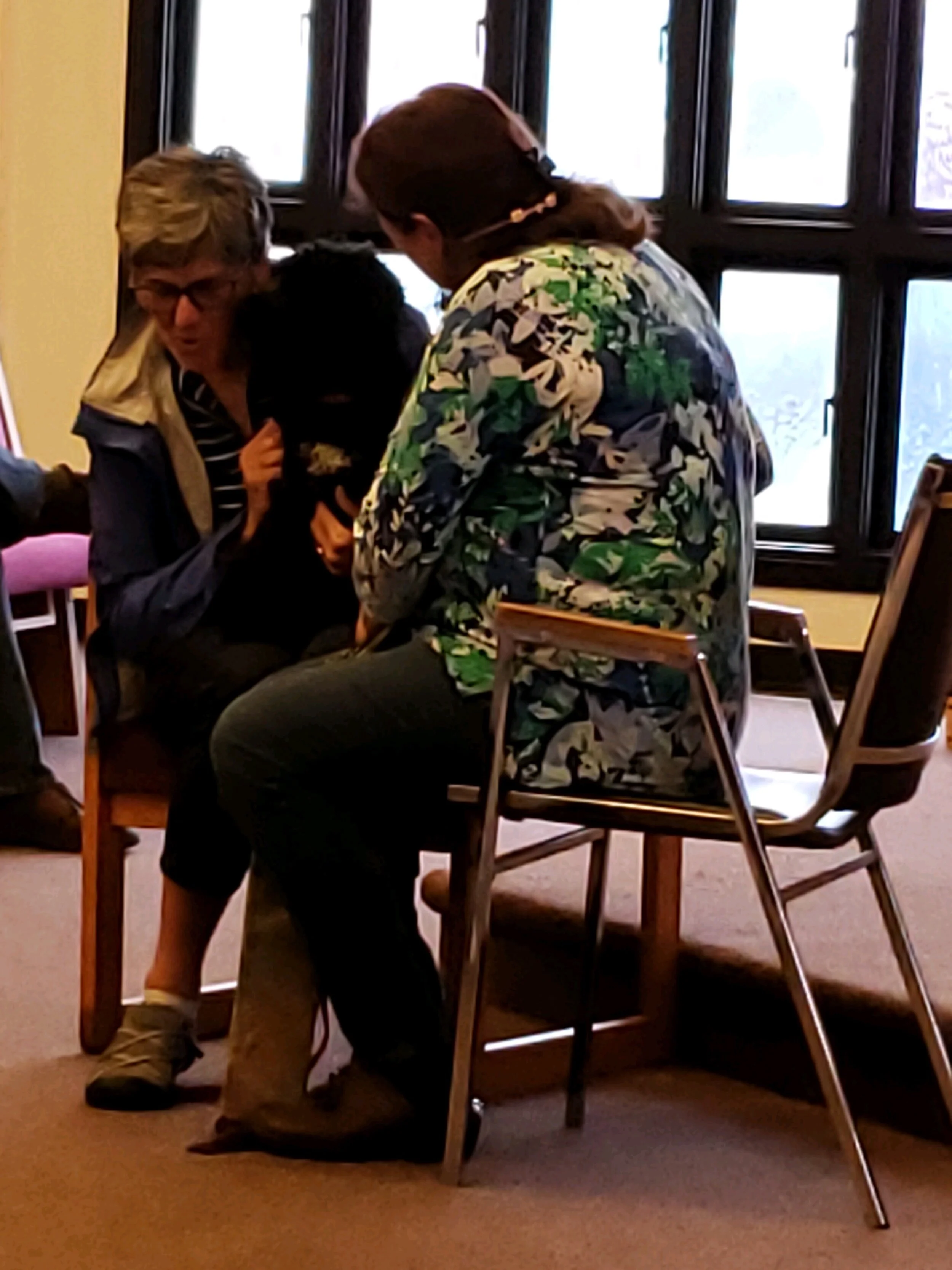 Blessing of the Animals, 2019