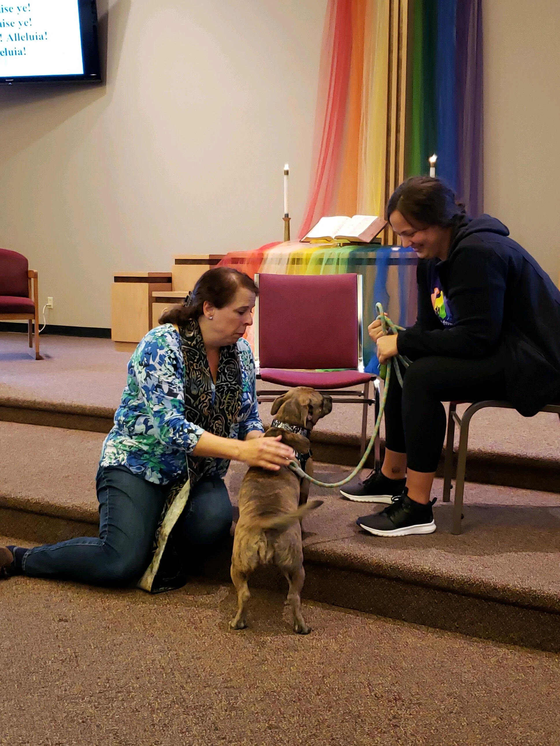 Blessing of the Animals, 2019