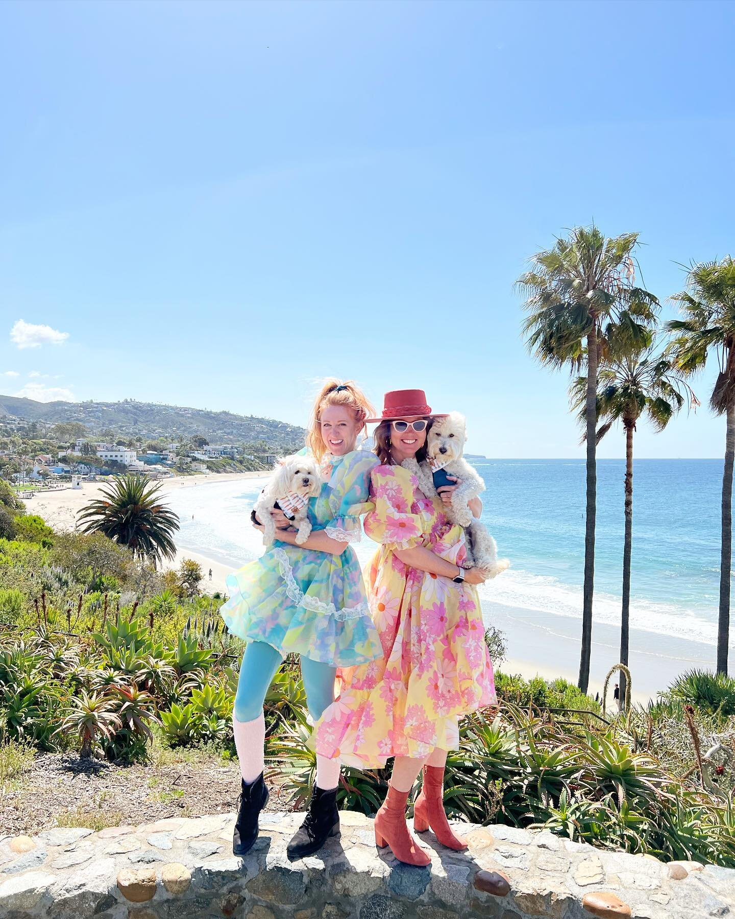 No better way to start my birthday than at Laugh Club in Laguna with my pups and friends. In the most fluffiest of dresses possible.