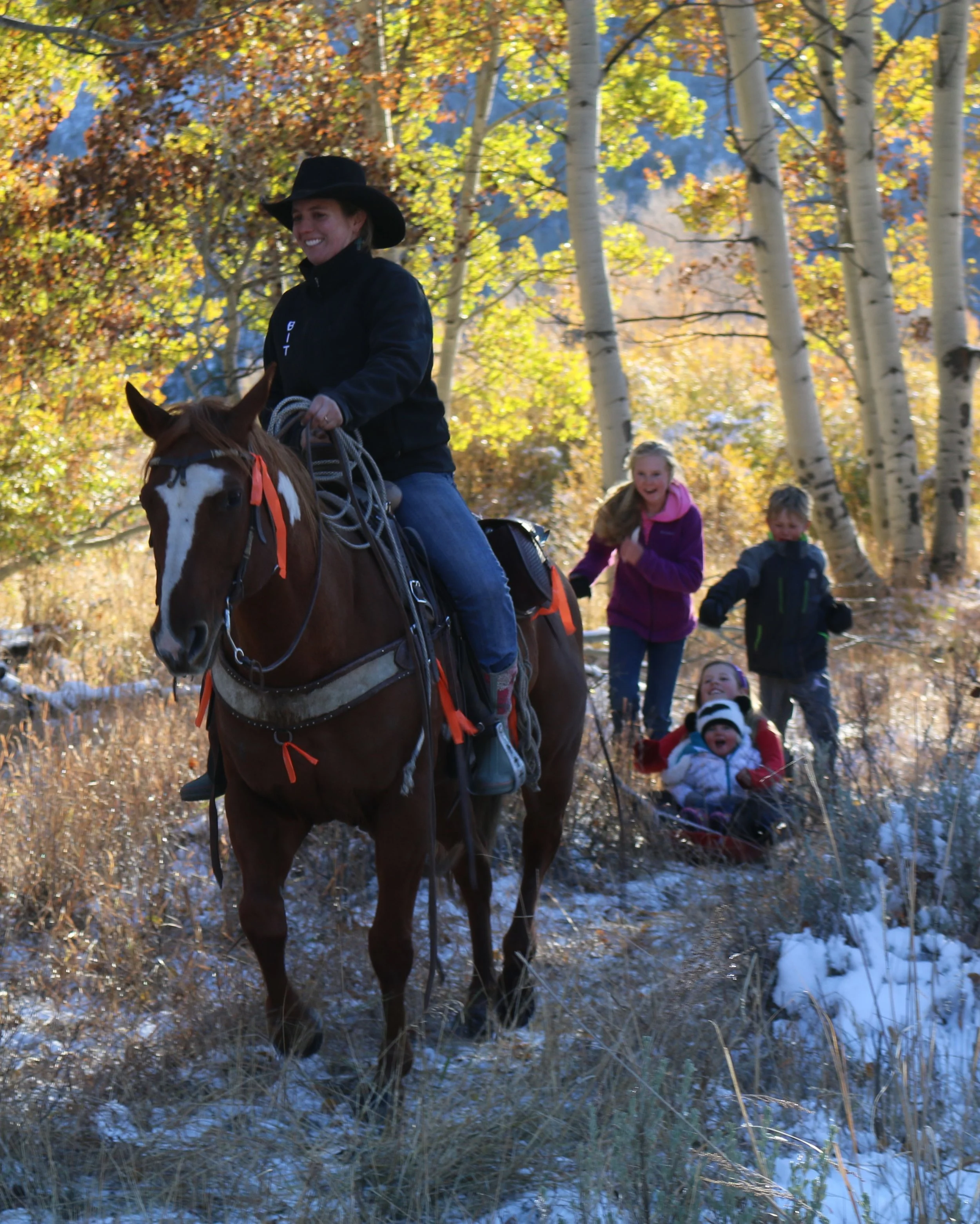 catalog photo (2).JPG