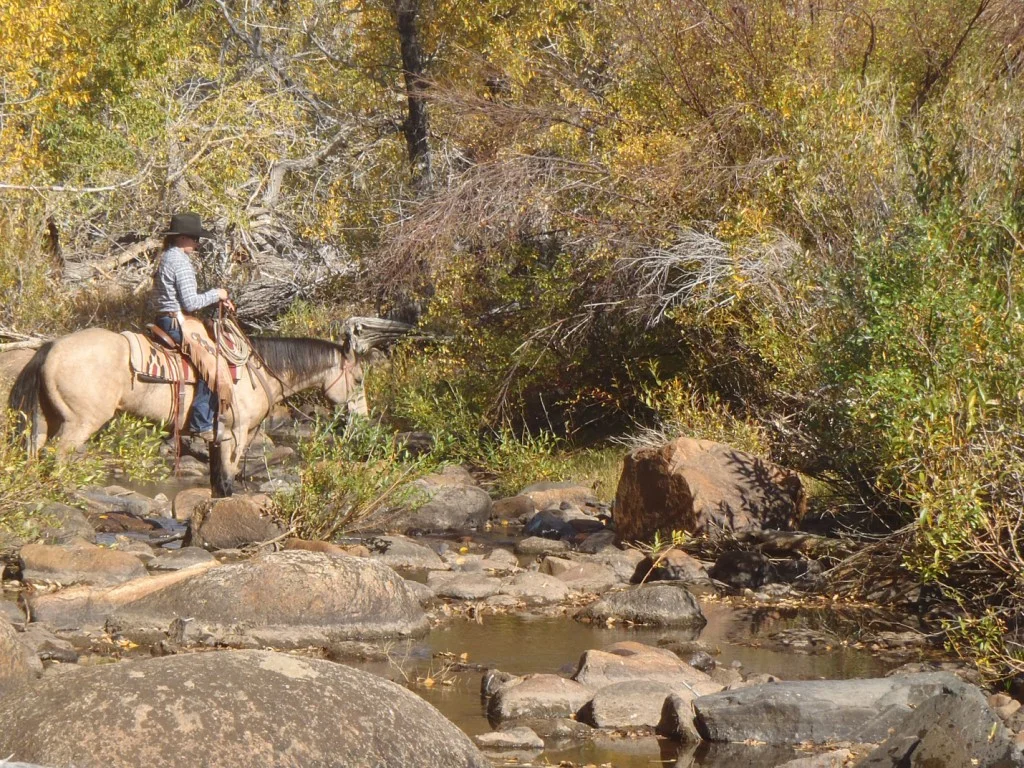 photo - training (2)=.JPG