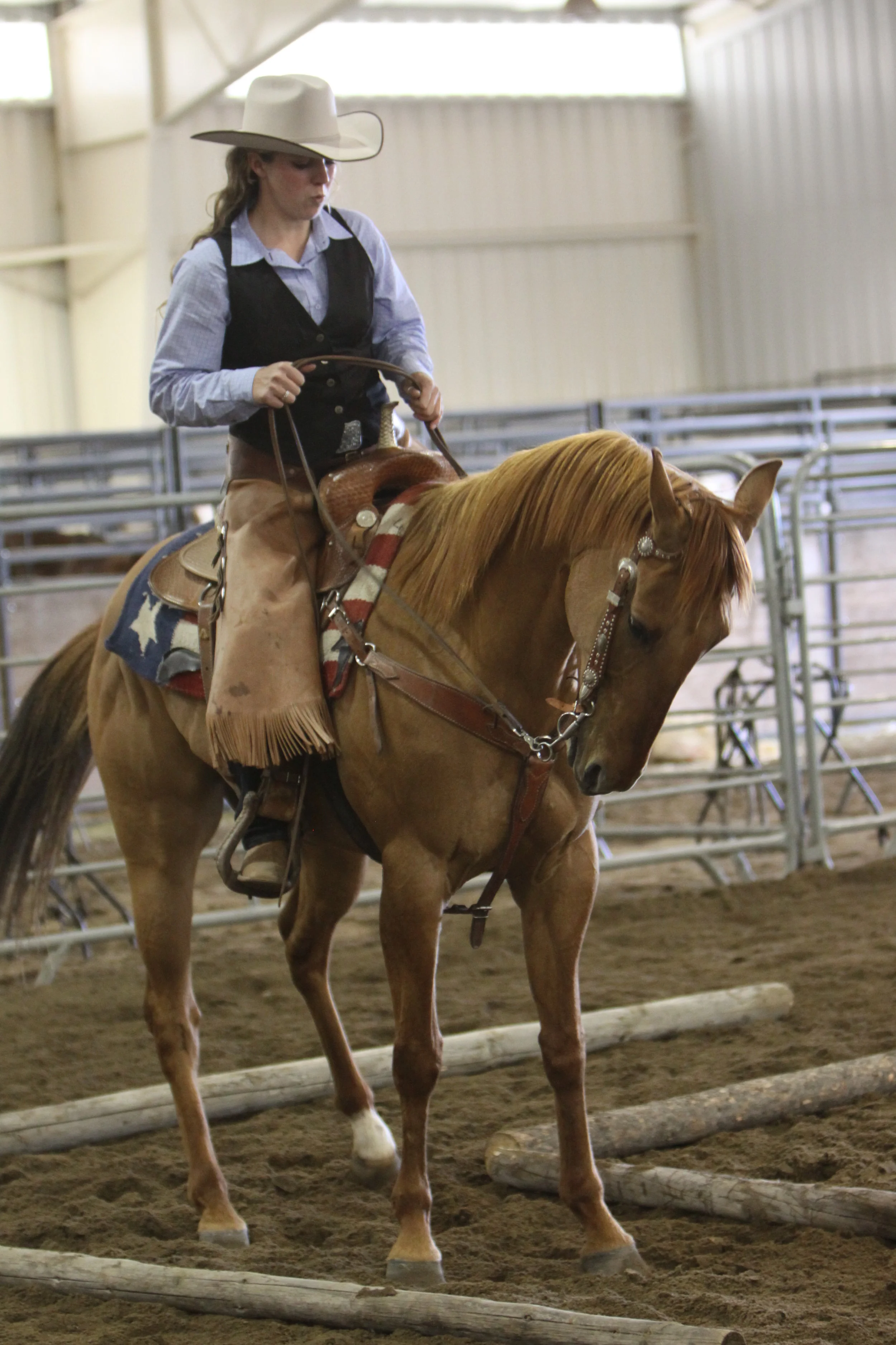 photos - training (10)=.JPG