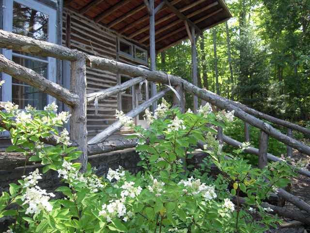 Wood Stair Case.jpg