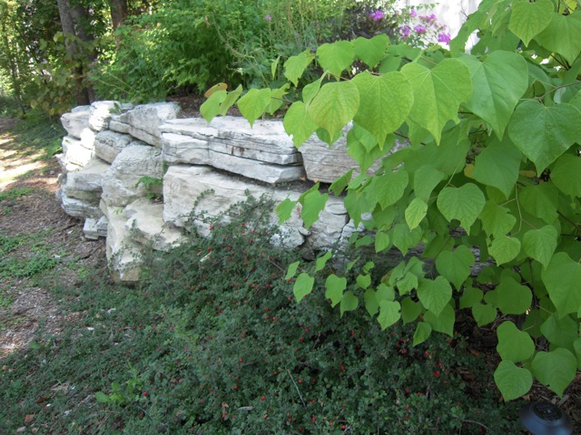 Rock Wall with Landscaping 2.jpg