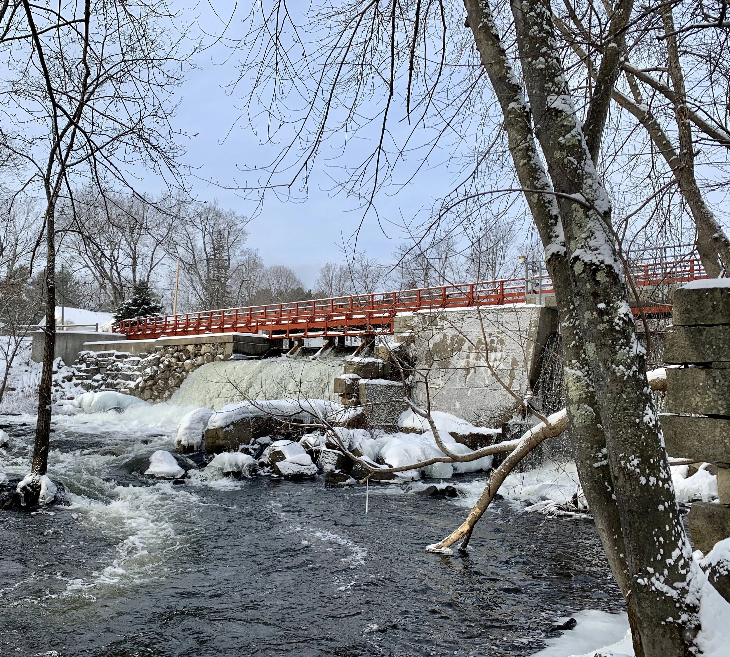 Wayne Village Footbridge Paint Night