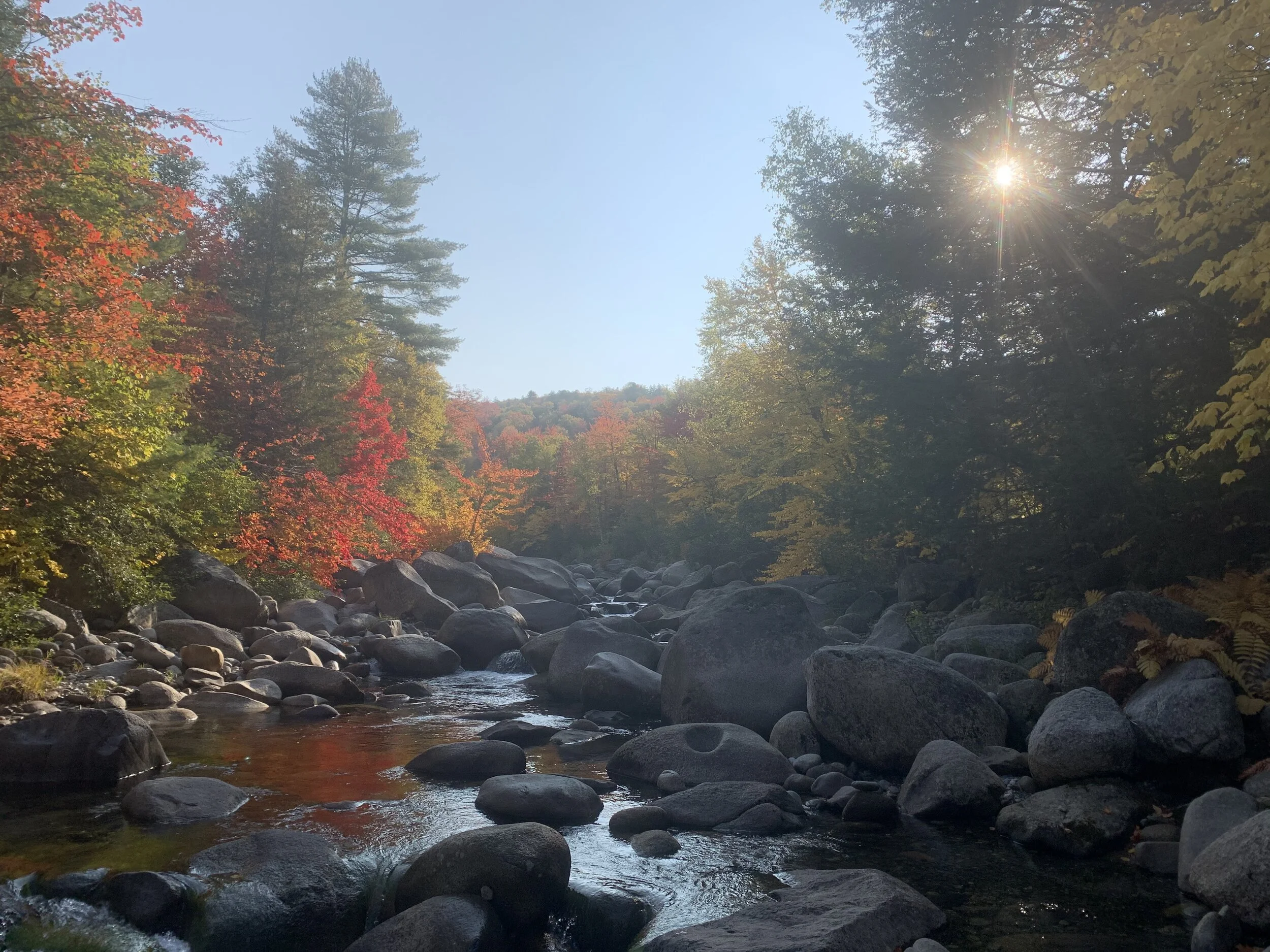 07EF74CA-C114-40D6-89EB-2D206BE55EDB - Jeff Ireland.jpeg