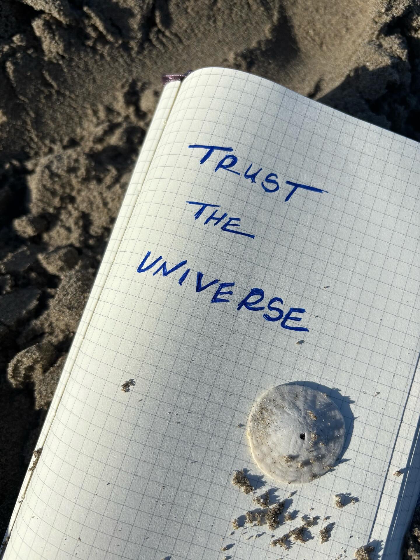 Trust the universe 🌊✨
The sea is wise, your soul already knows.
Everything is unfolding exactly as it should.
⠀⠀⠀⠀⠀⠀⠀⠀⠀
⠀⠀⠀⠀⠀⠀⠀⠀⠀
⠀⠀⠀⠀⠀⠀⠀⠀⠀
📓🐚 #beachnotes #trusttheuniverse #ritualreminders