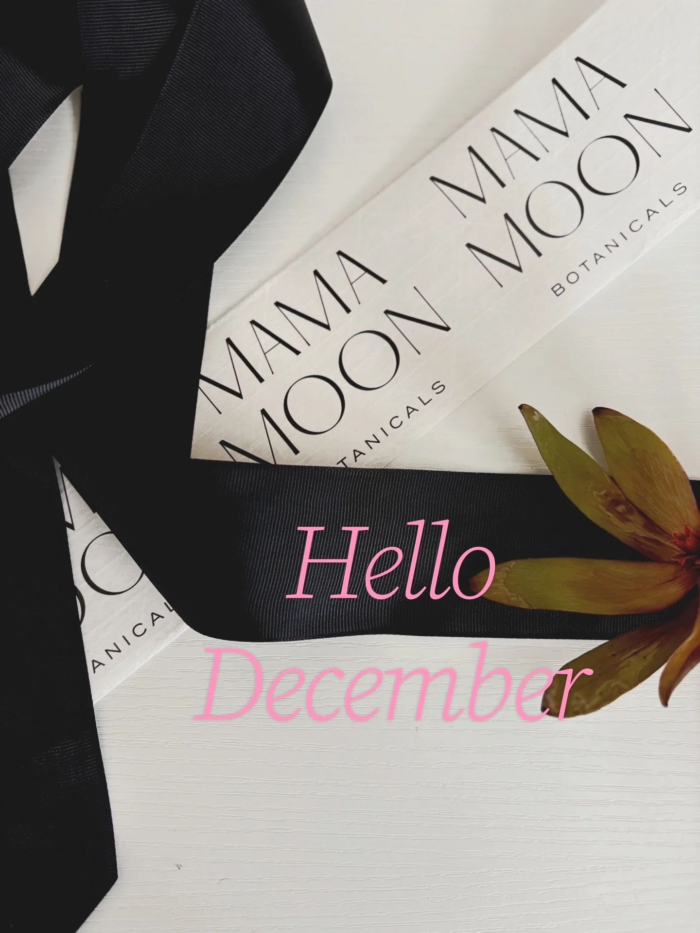 Hello December&hellip; hope you surprise me with something good💫
⠀⠀⠀⠀⠀⠀⠀⠀⠀
Huge thank you to everyone who shopped the holiday sale &mdash; as a small business, I appreciate y&rsquo;all so much. 🖤
⠀⠀⠀⠀⠀⠀⠀⠀⠀
I&rsquo;ve been in the studio staying warm